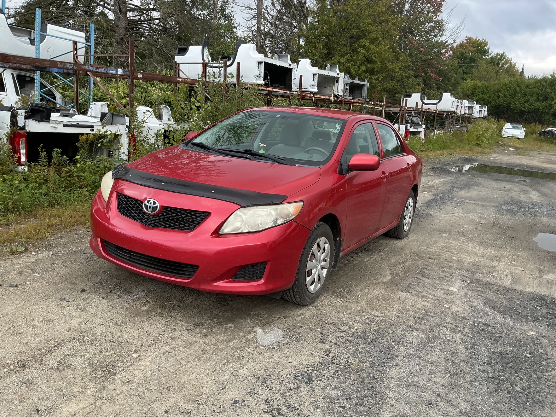 2009 Toyota Corolla