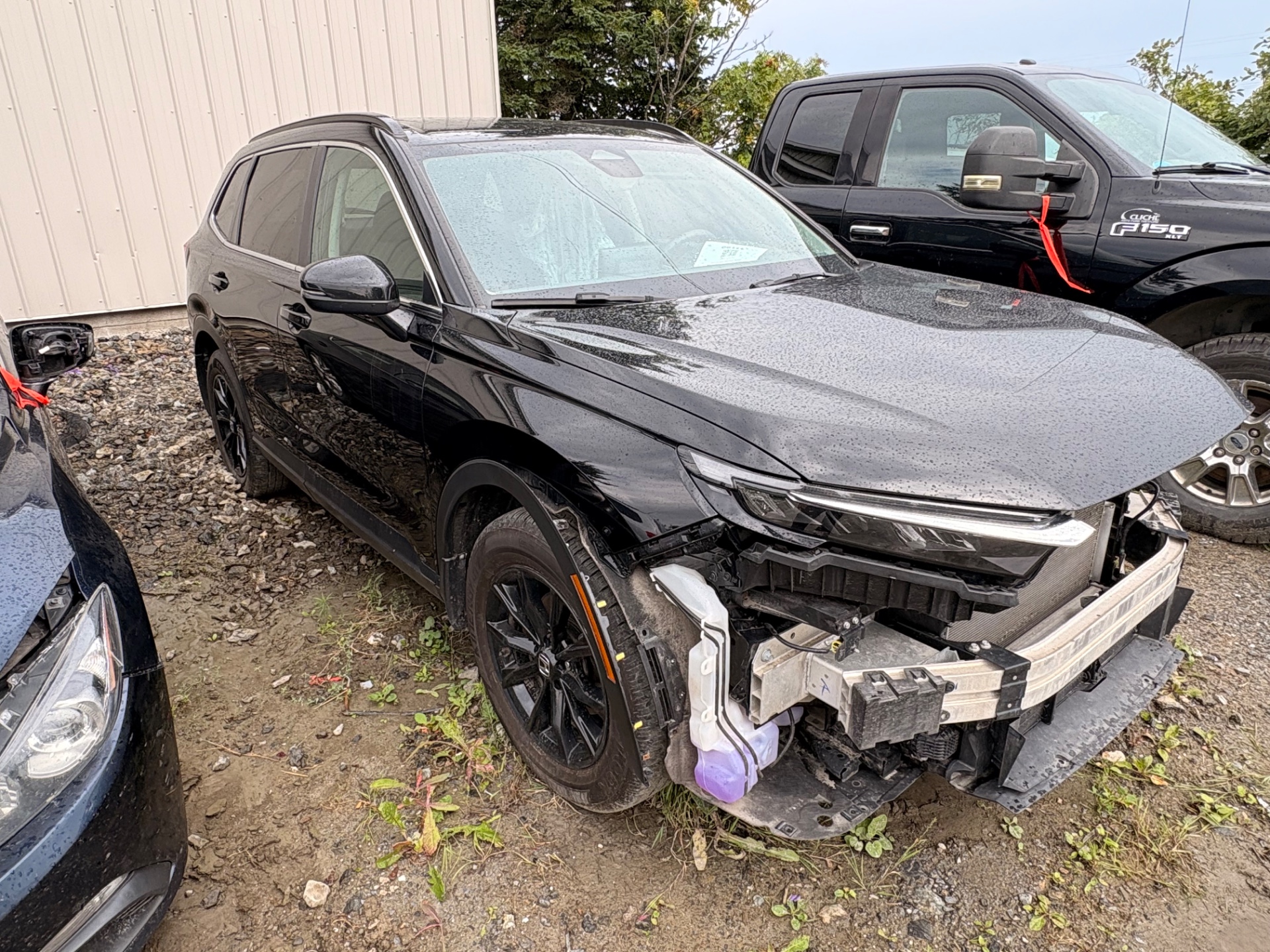 2024 Honda Cr-V
