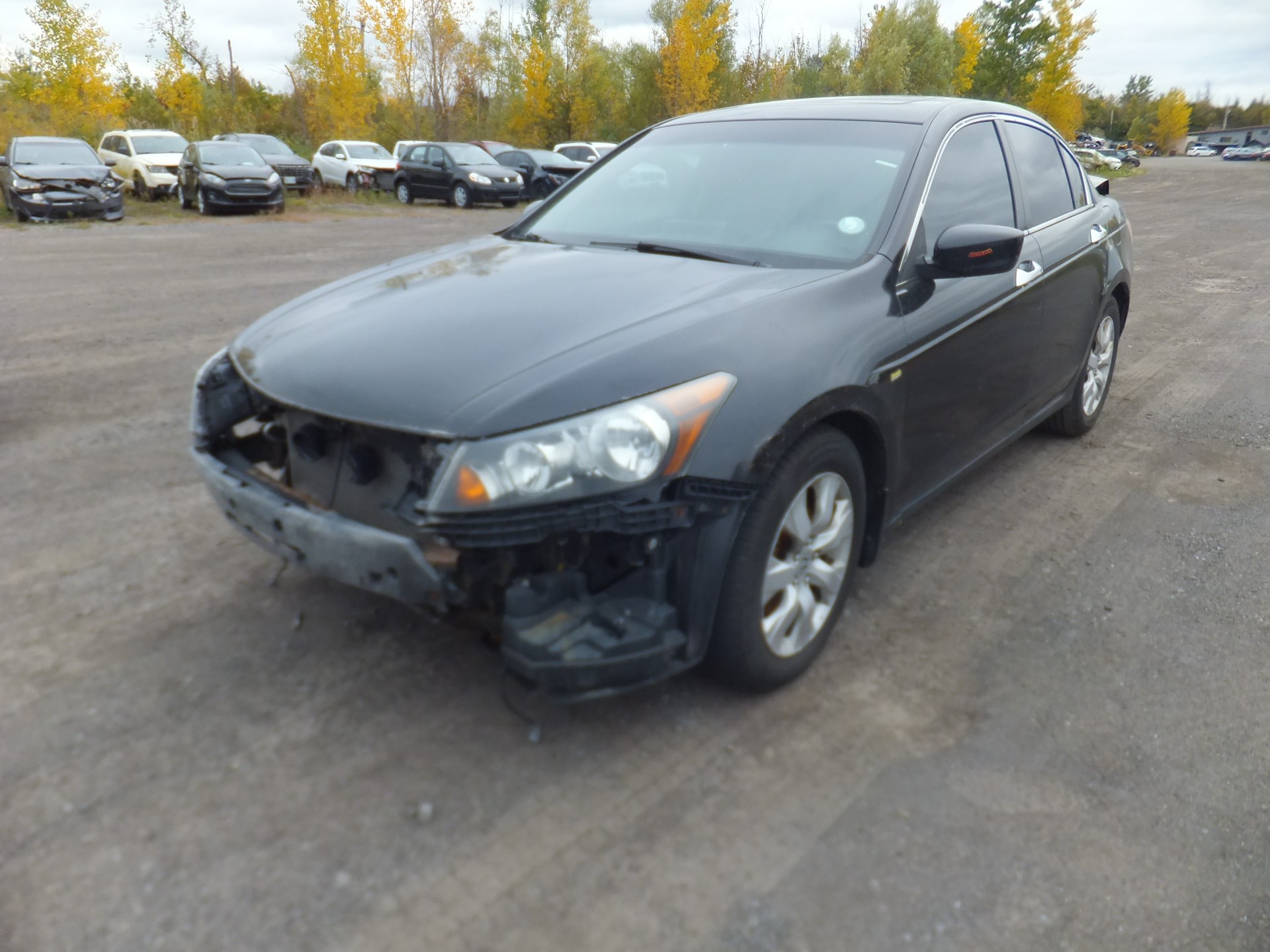 2011 Honda Accord