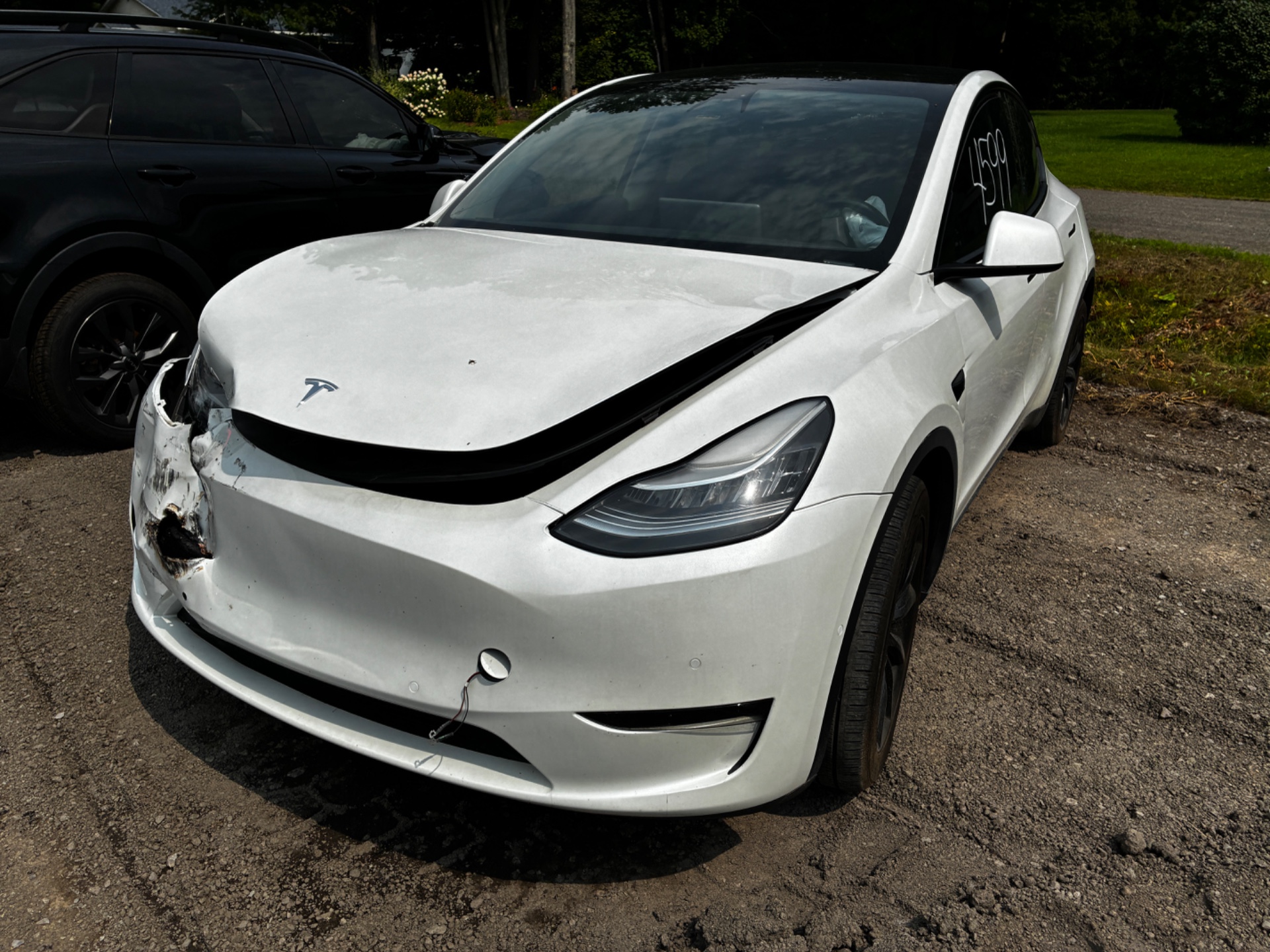 2020 Tesla Tesla Y