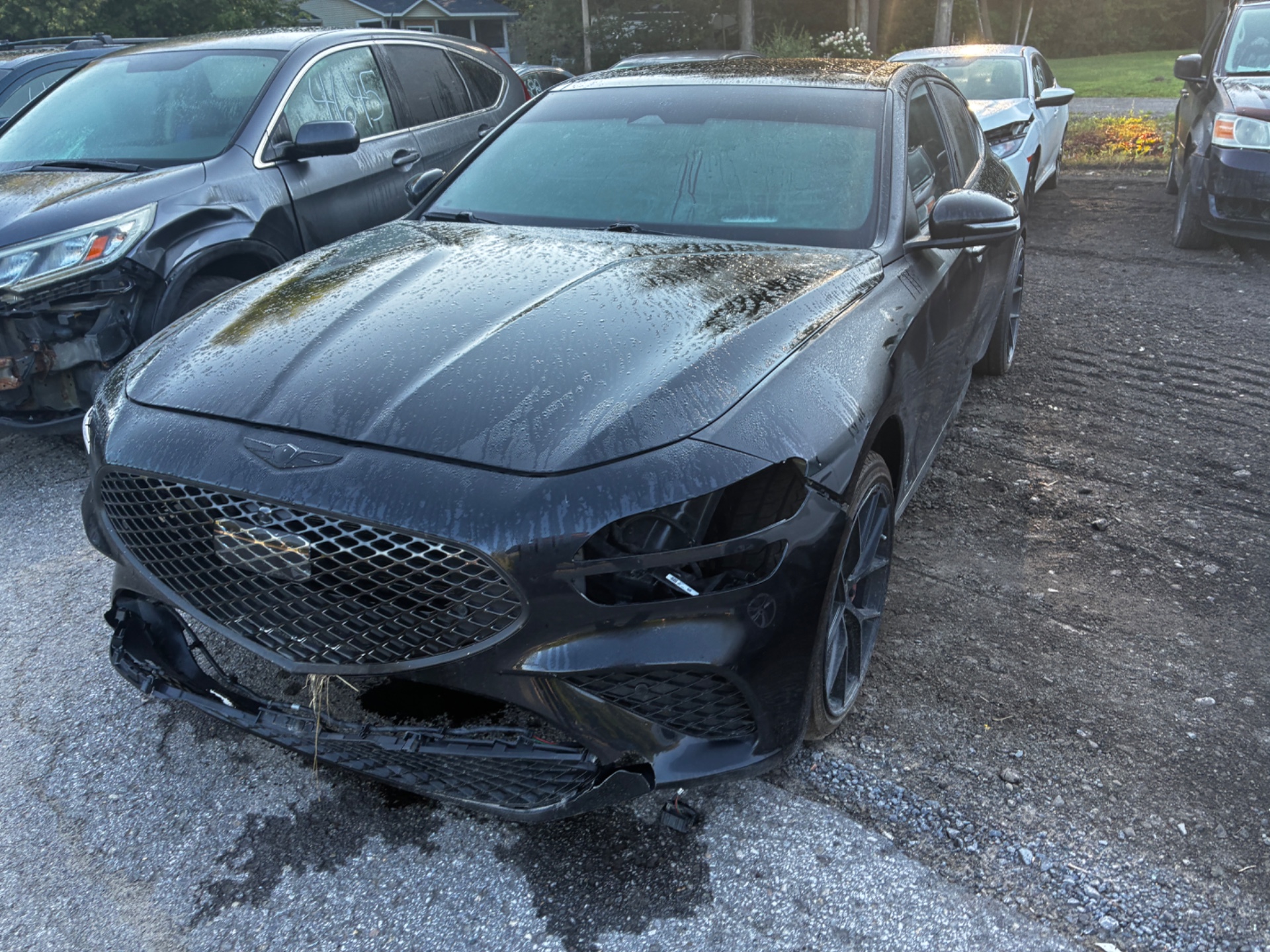 2023 Genesis G70
