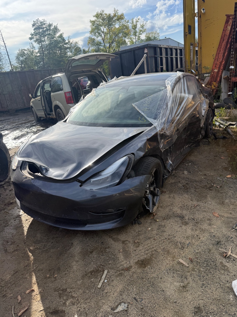 2023 Tesla Tesla 3