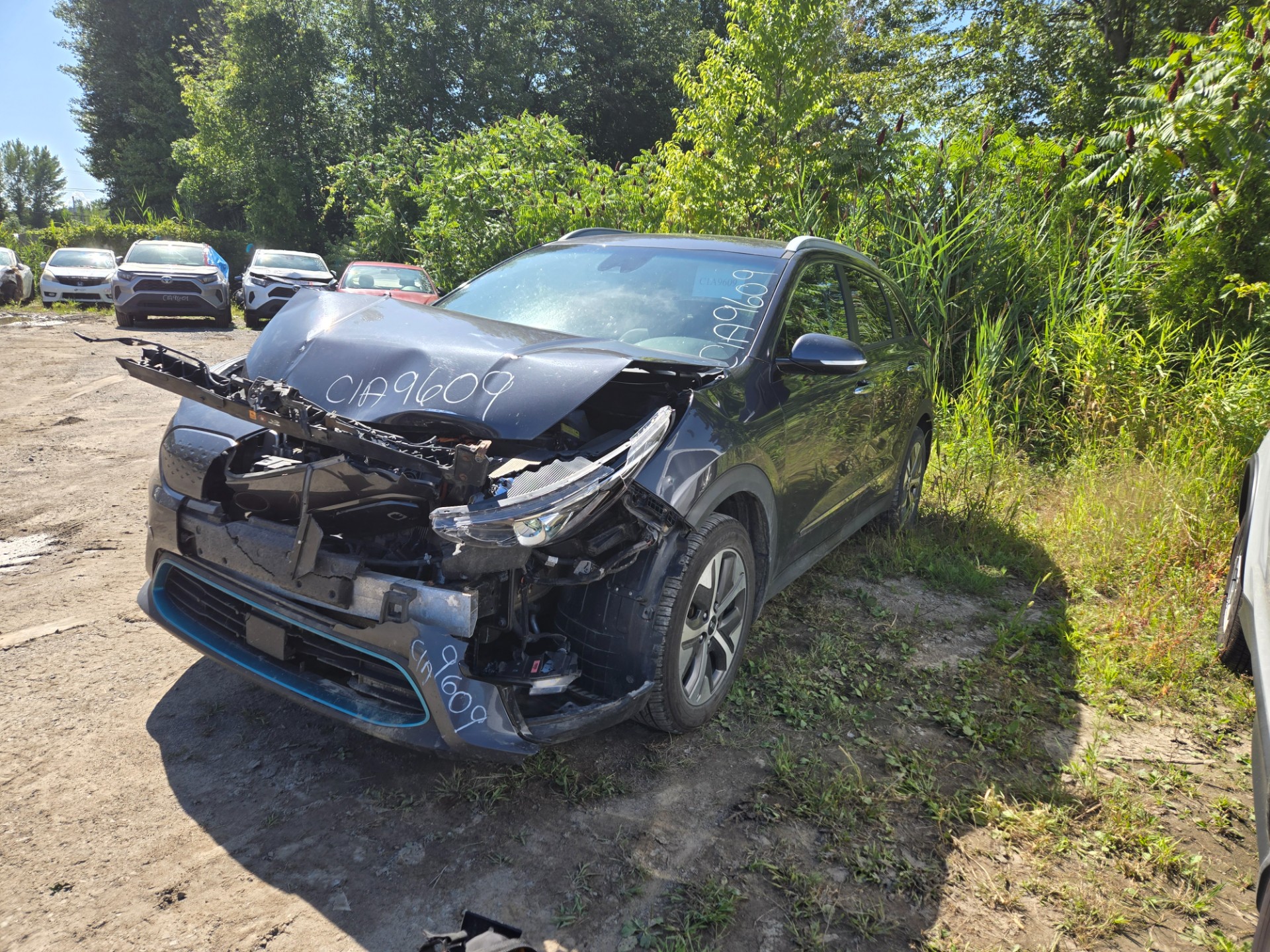 2020 Kia Niro