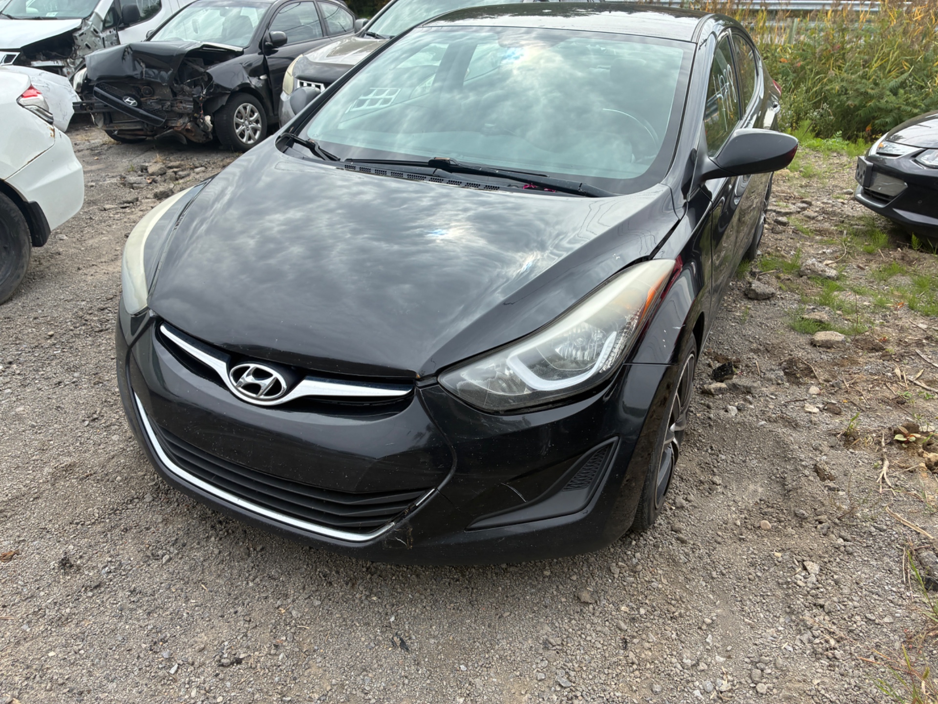 2014 Hyundai Elantra