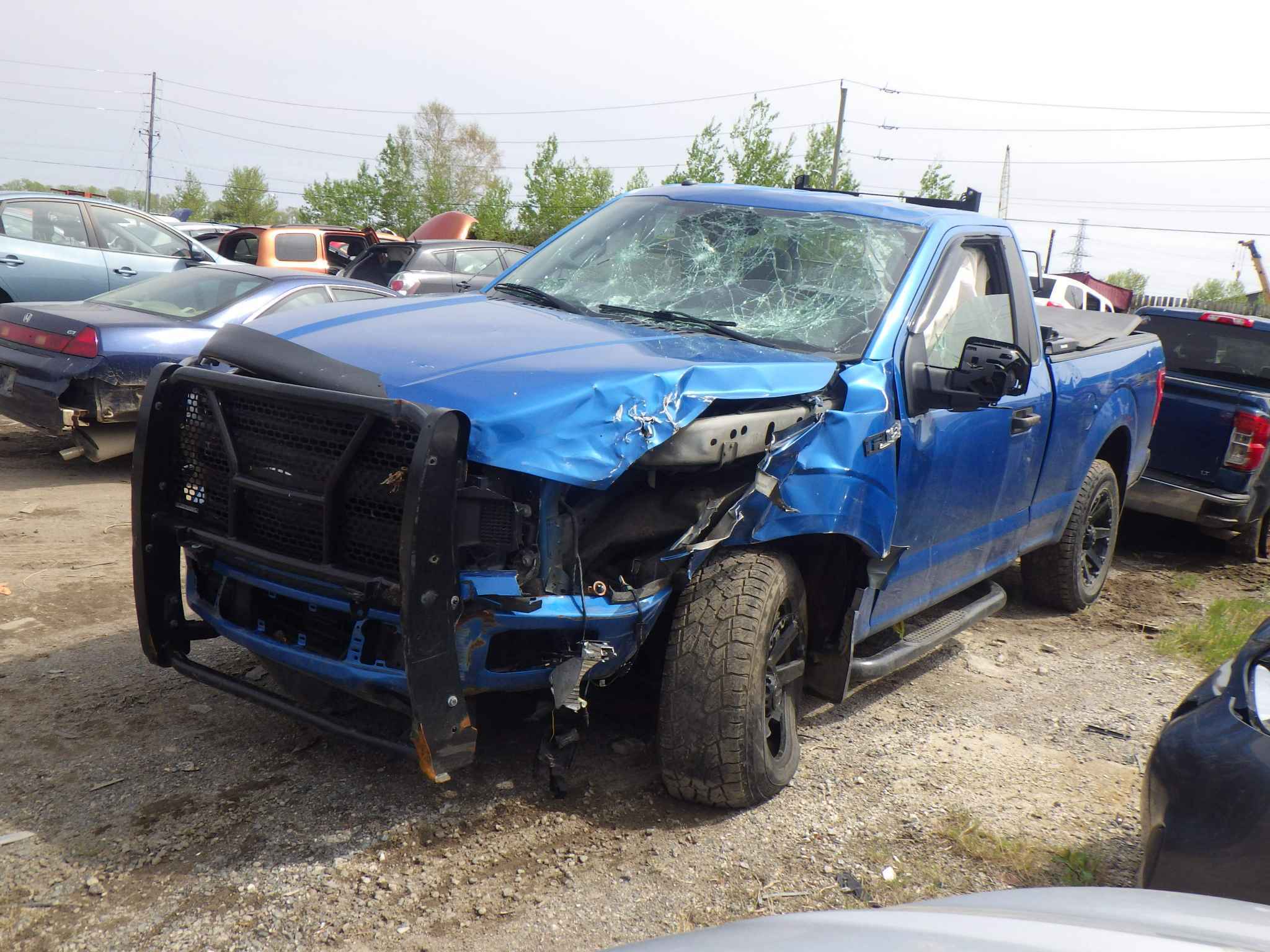 2019 Ford Pickup (Ford)