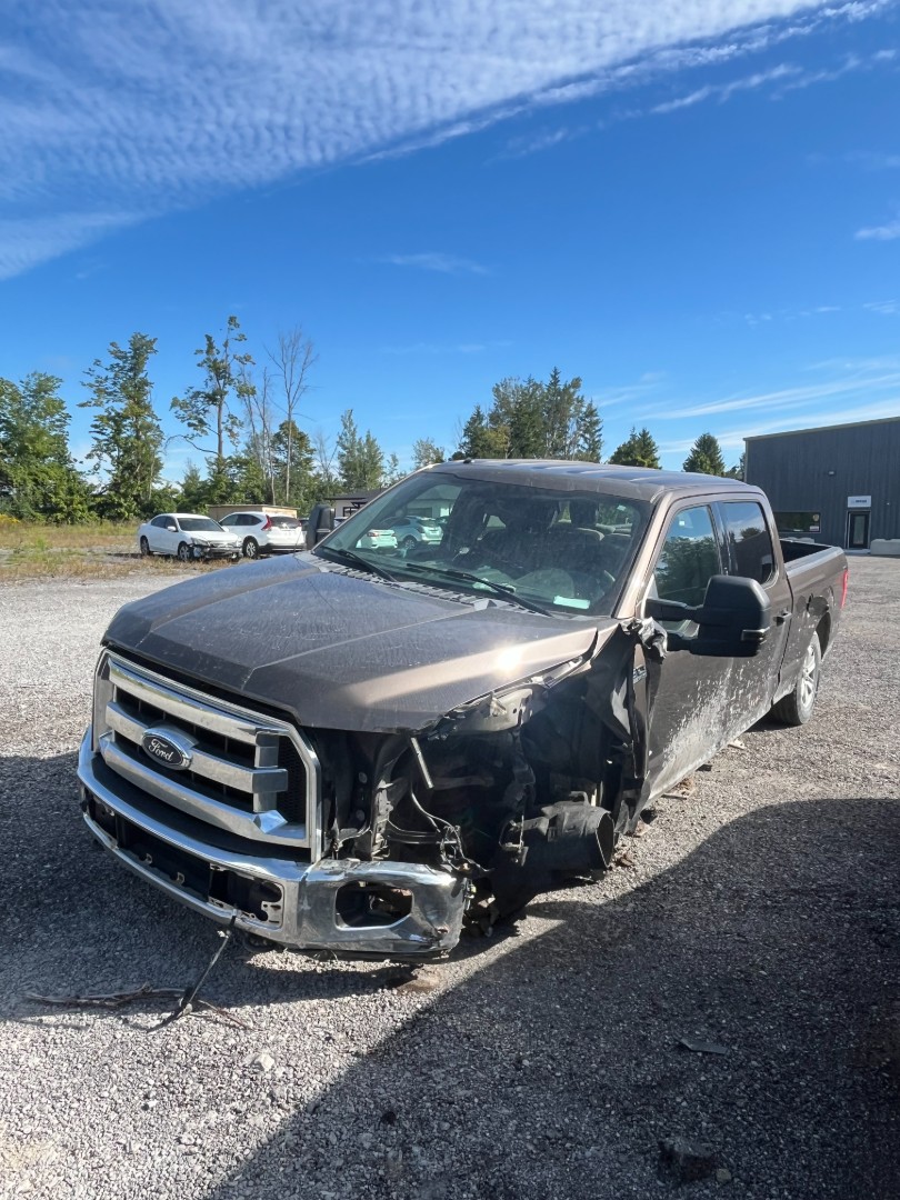 2015 Ford Pickup (Ford)