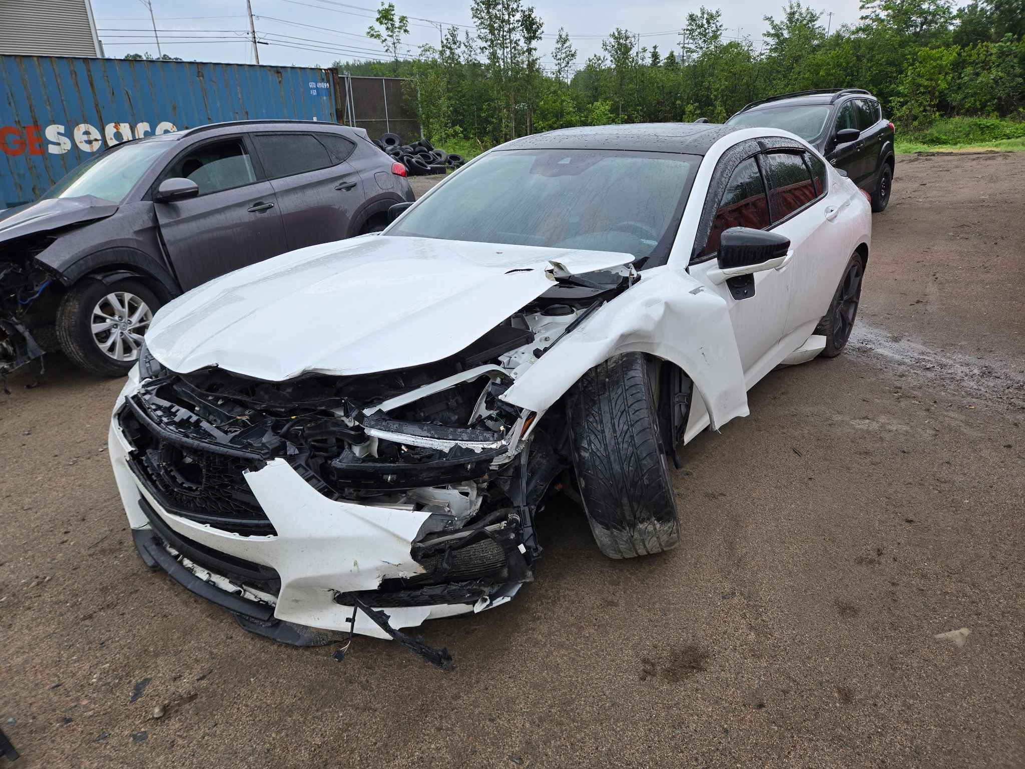 2022 Acura Tlx