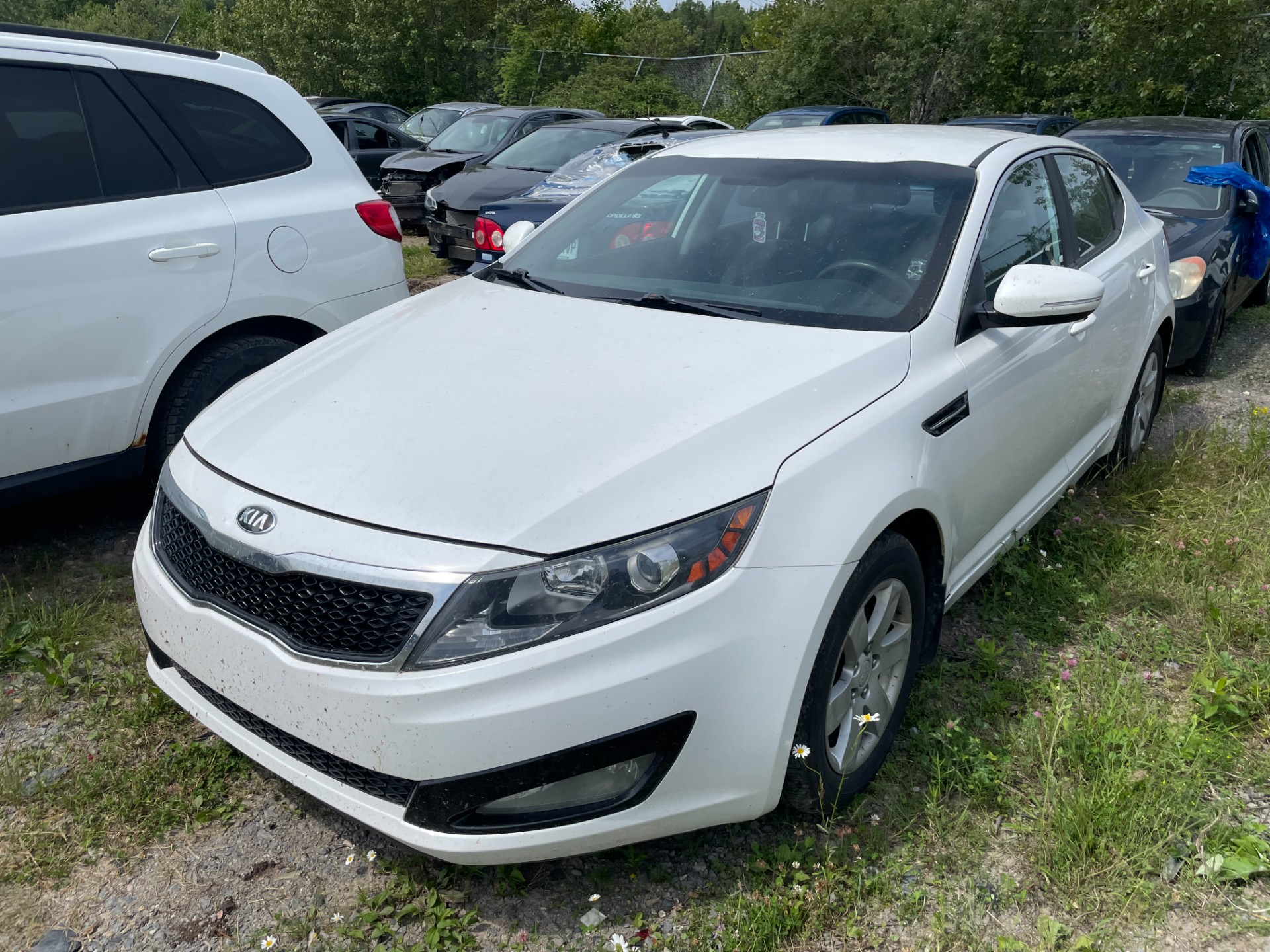 2013 Kia Optima (Kia)