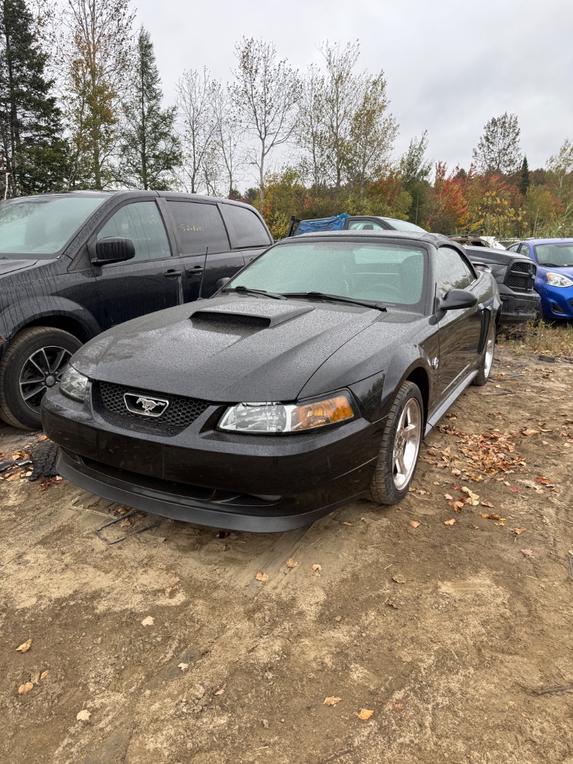 2004 Ford Mustang
