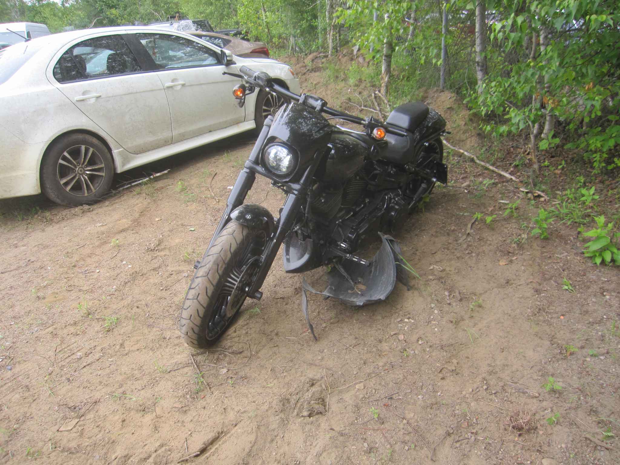 2017 Motorcycle Harley Davidson