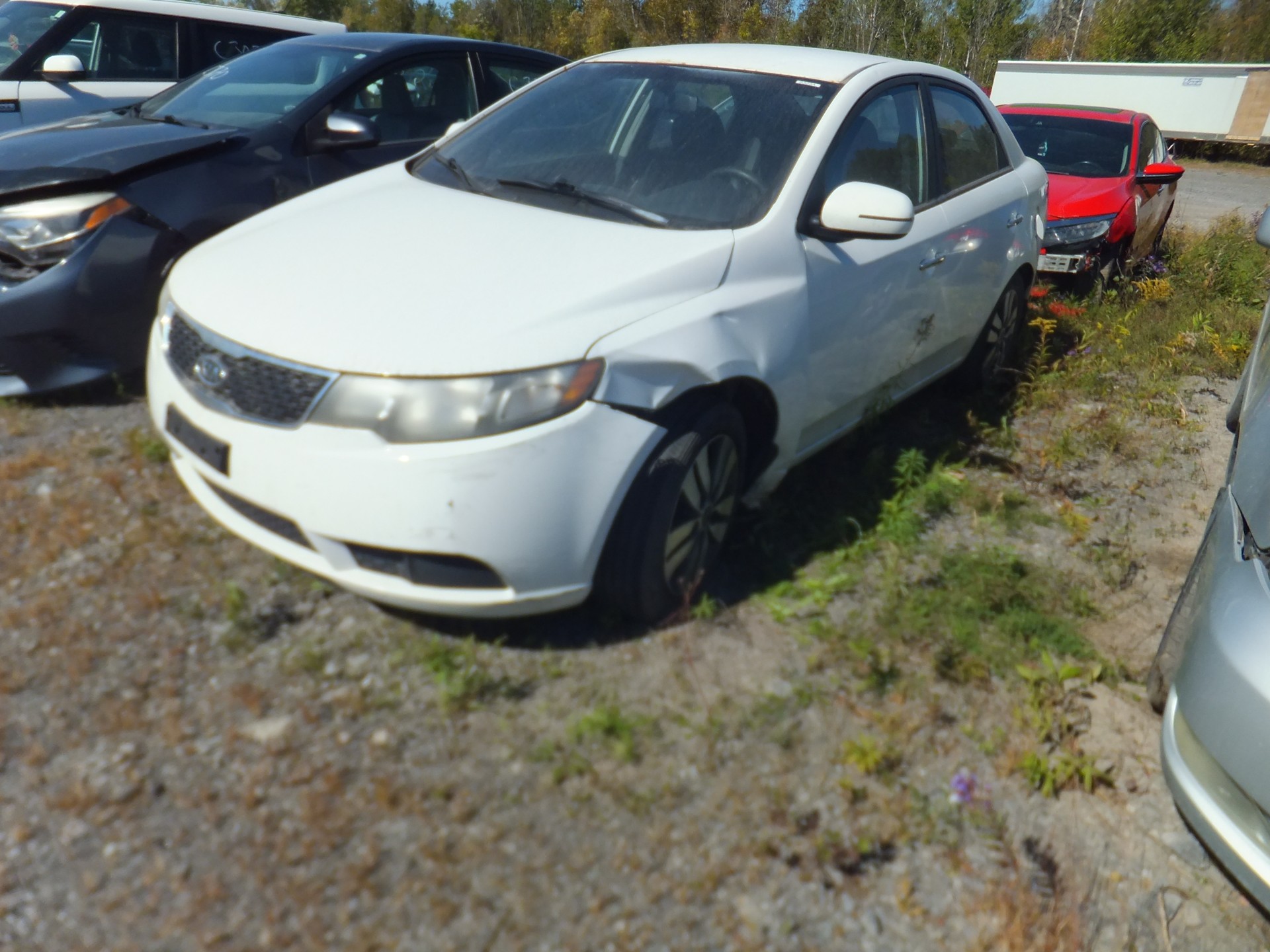 2013 Kia Forte