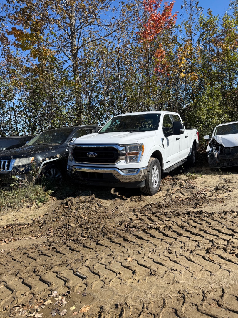 2021 Ford Pickup (Ford)