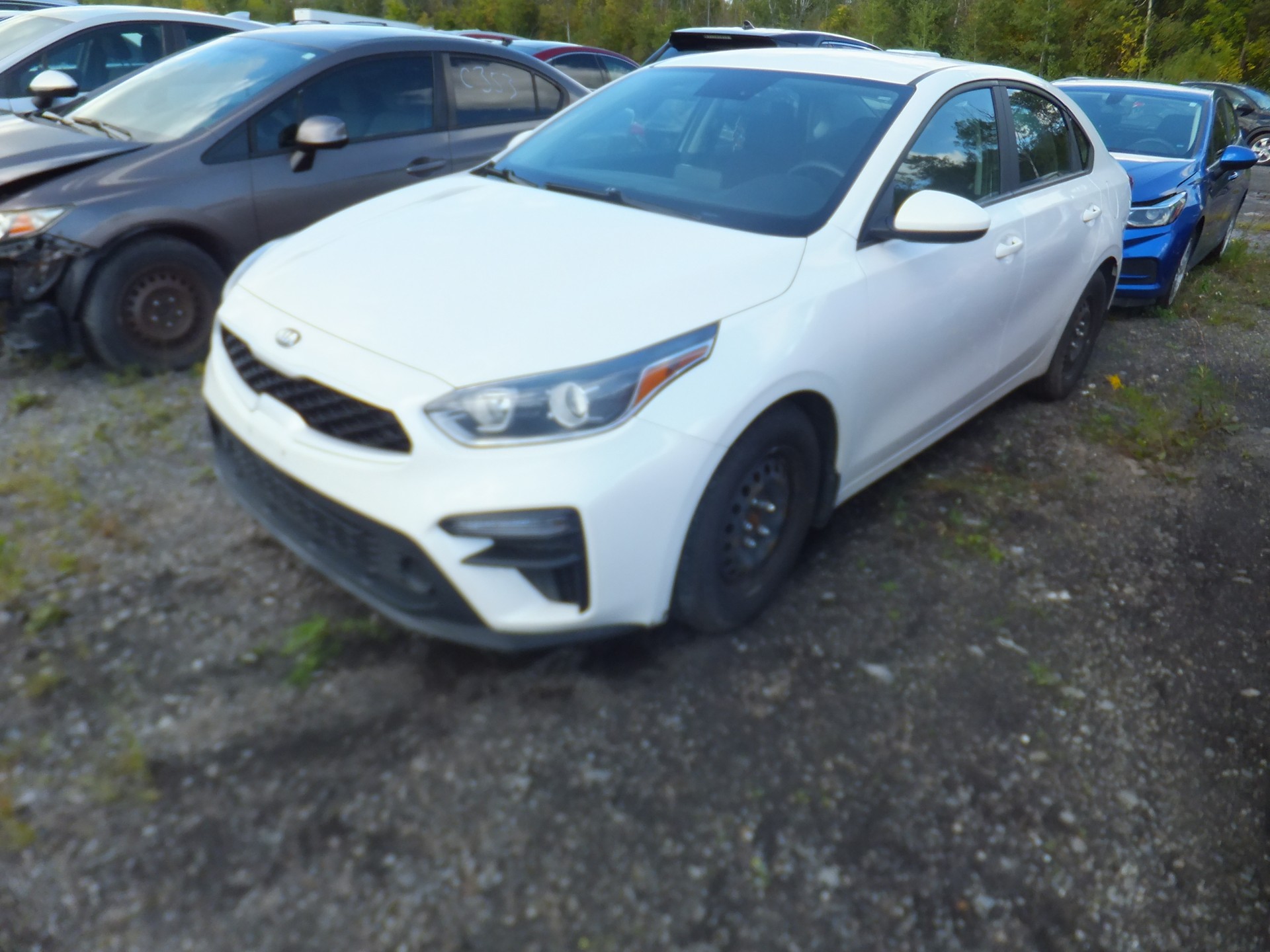 2020 Kia Forte