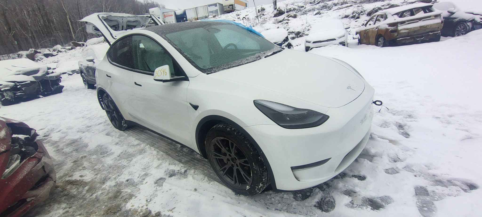2025 Tesla Tesla Y