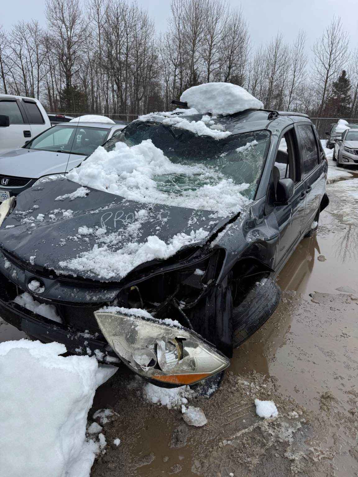 2006 Toyota Sienna