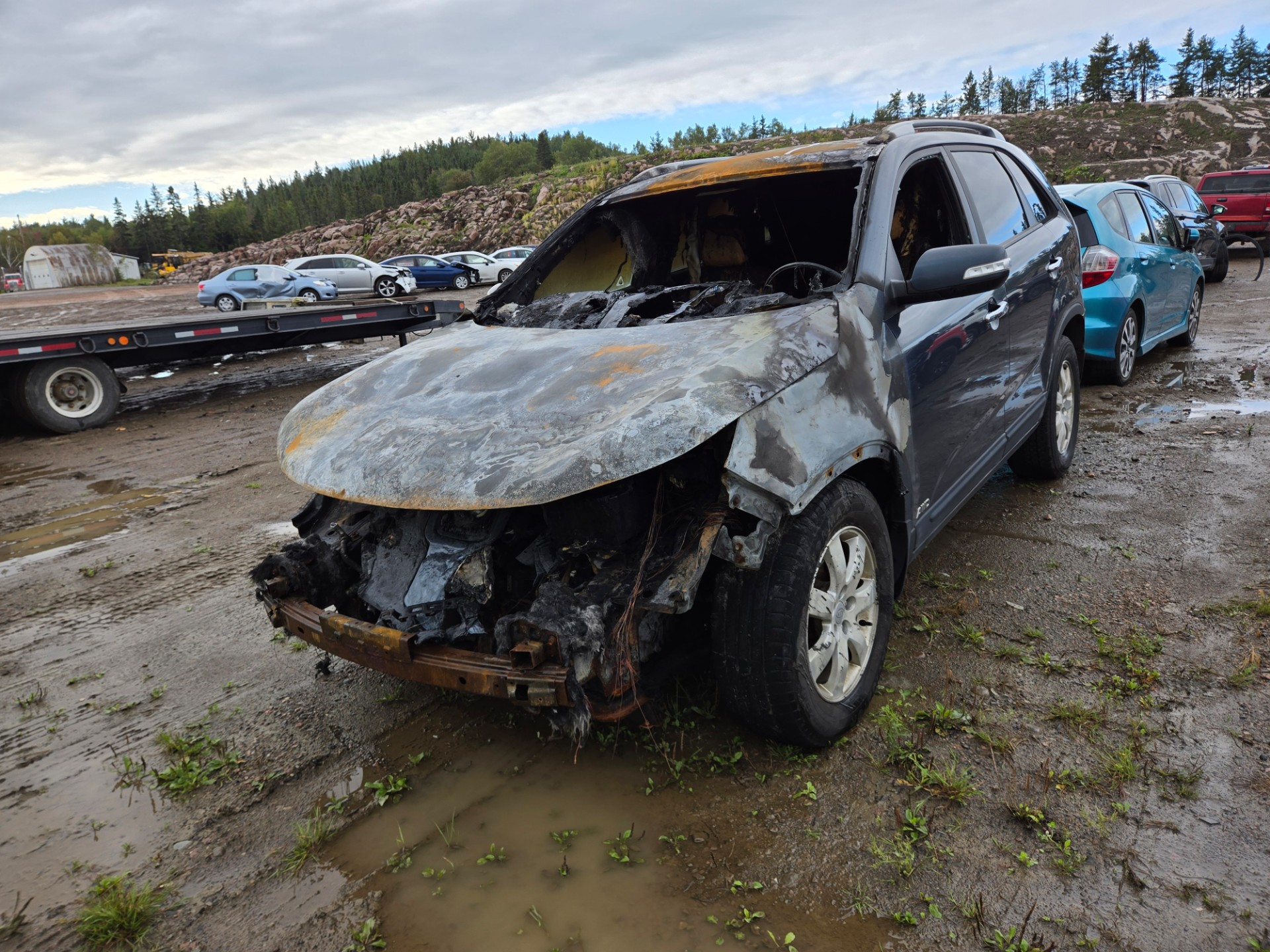 2011 Kia Sorento