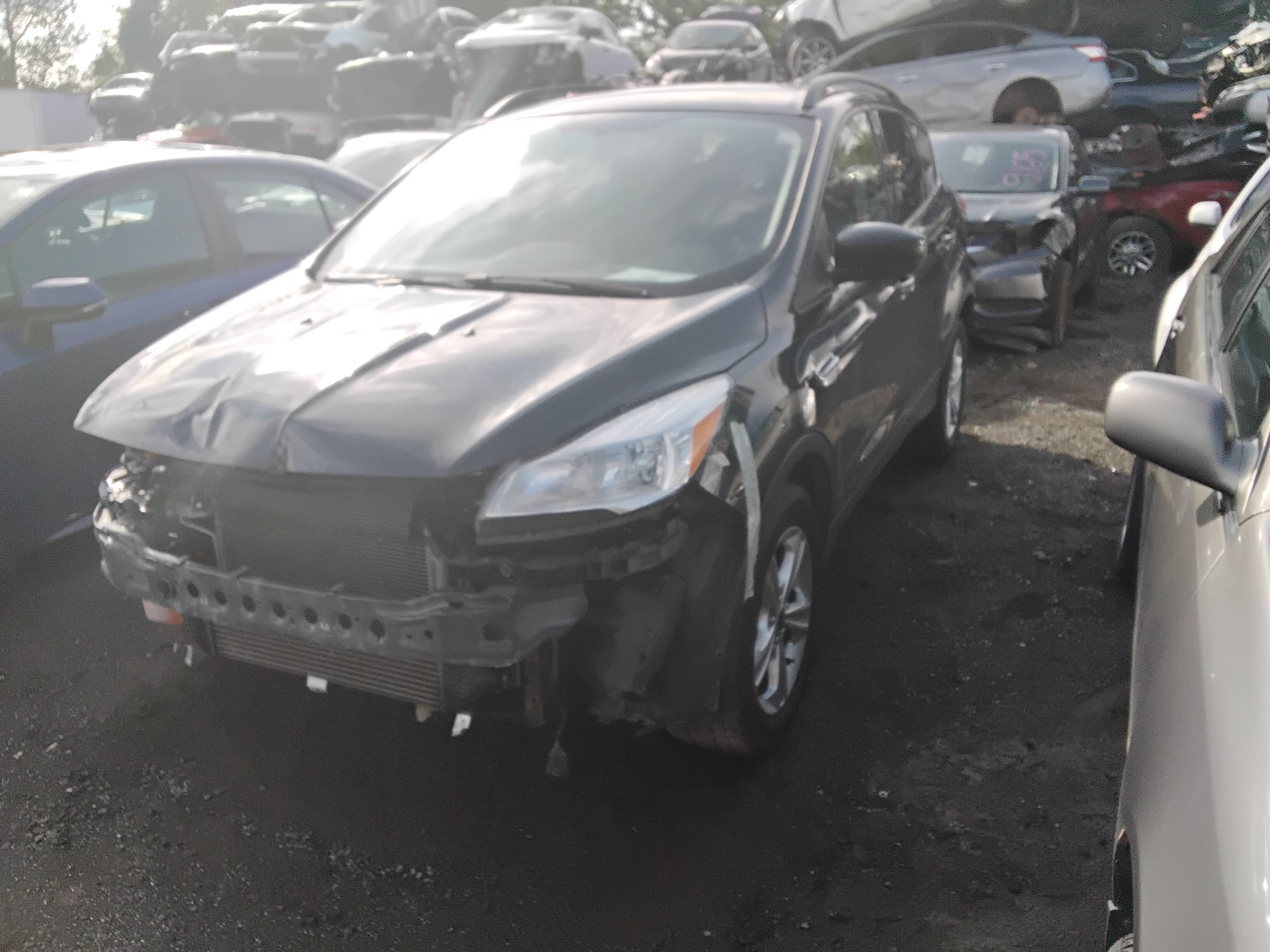 2014 Ford Escape