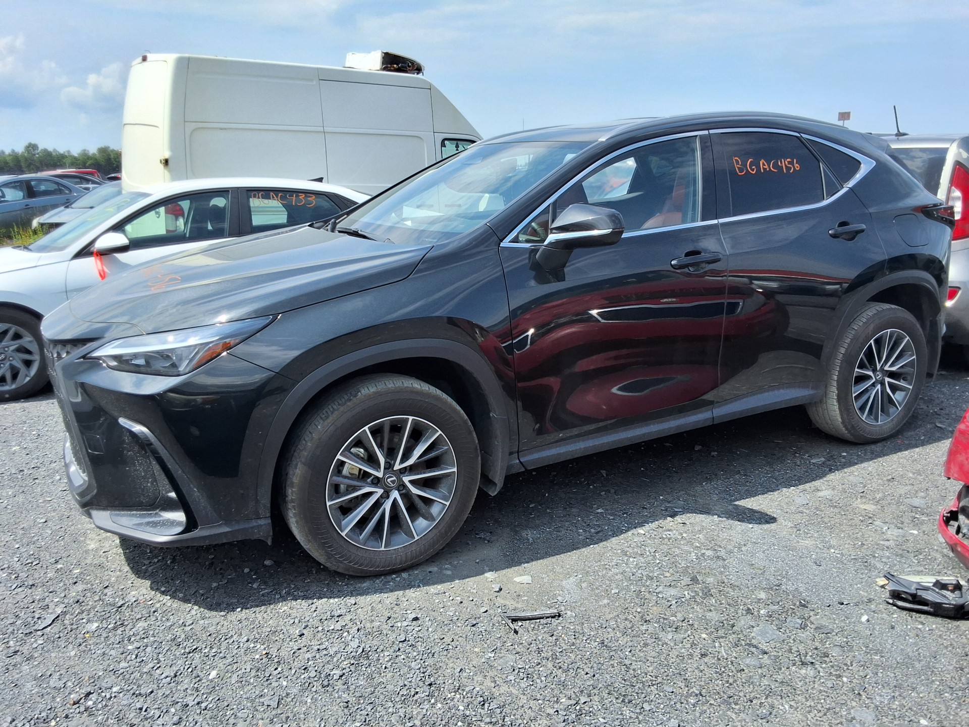 2025 Lexus Lexus Nx