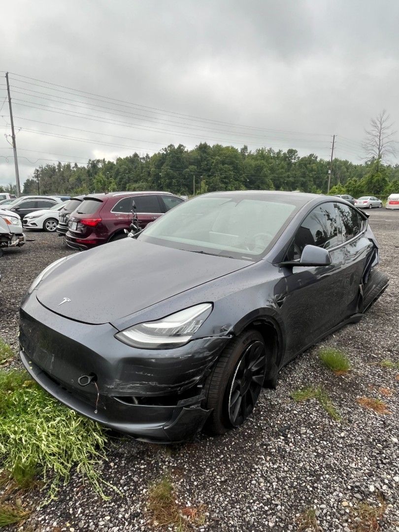 2021 Tesla Tesla Y