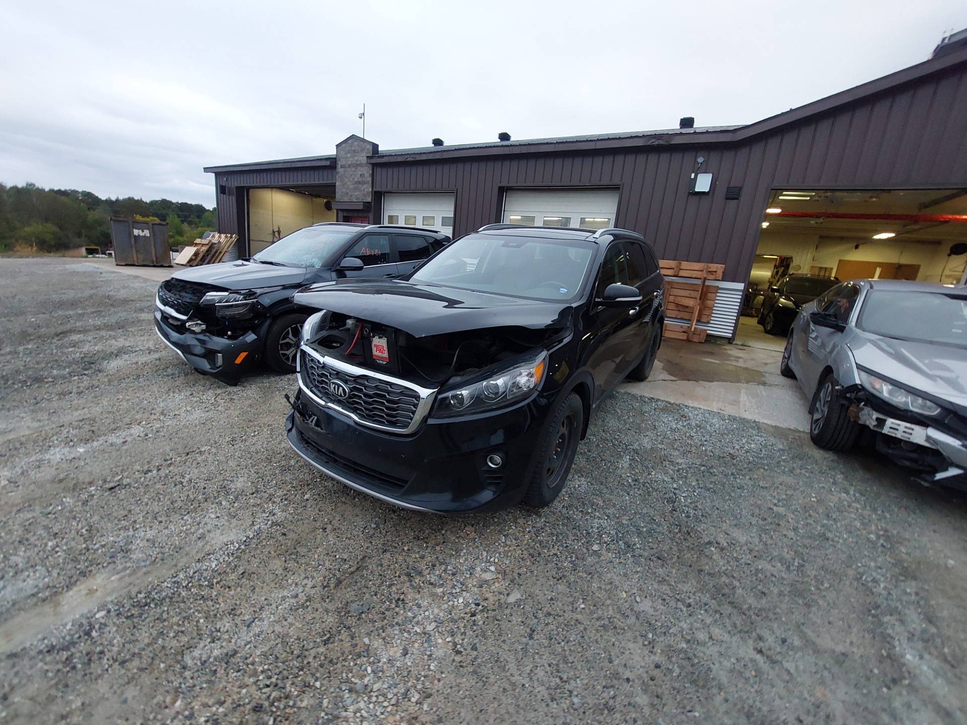 2019 Kia Sorento