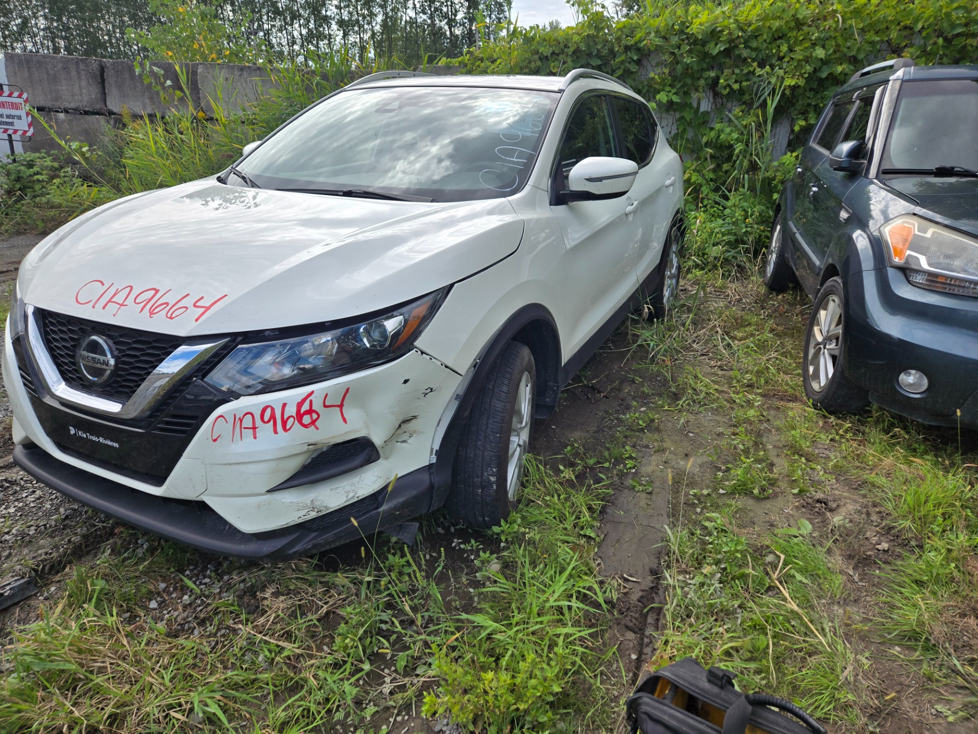2022 Nissan Qashqai