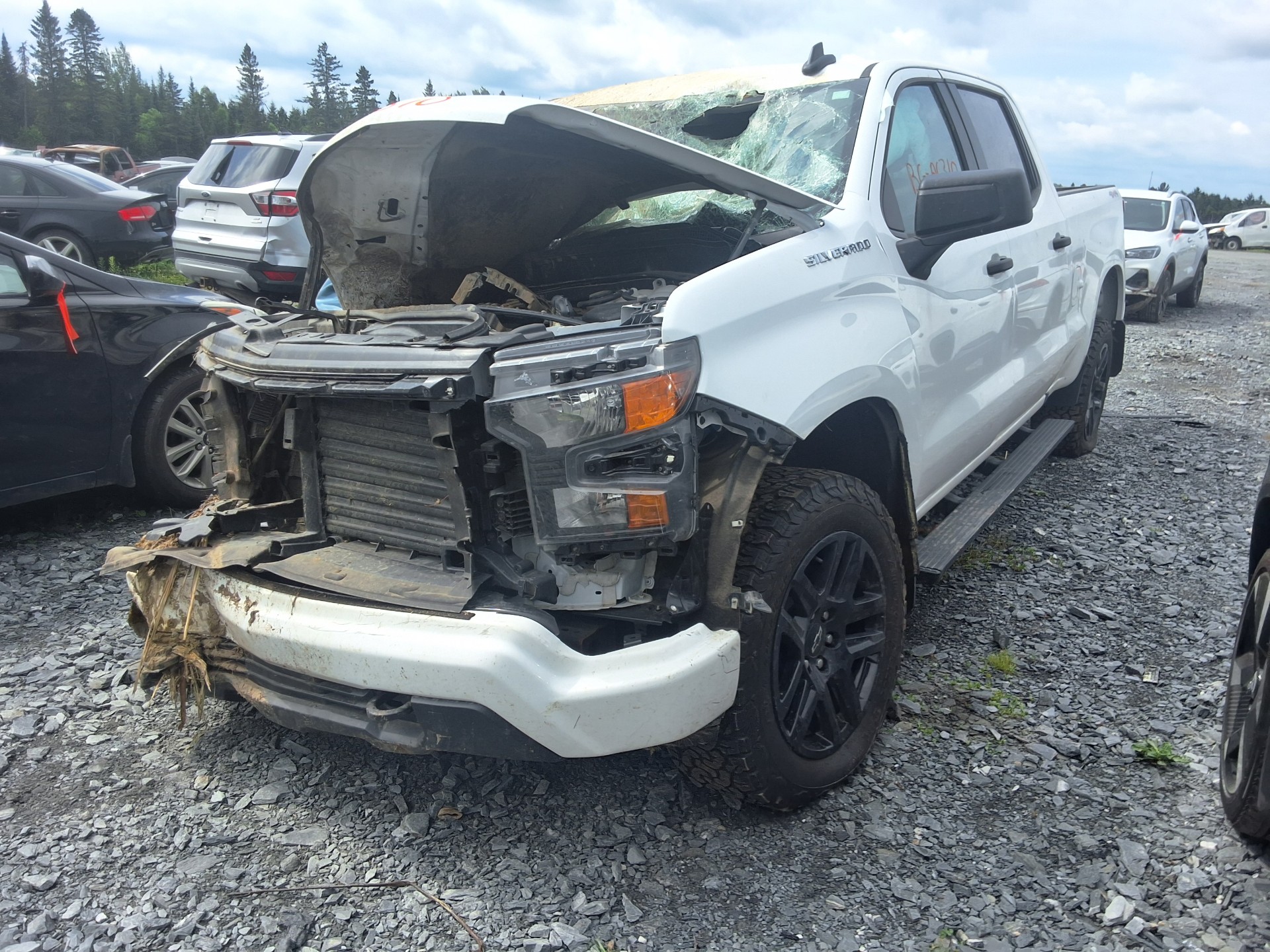 2025 GM Pickup (Chev.)