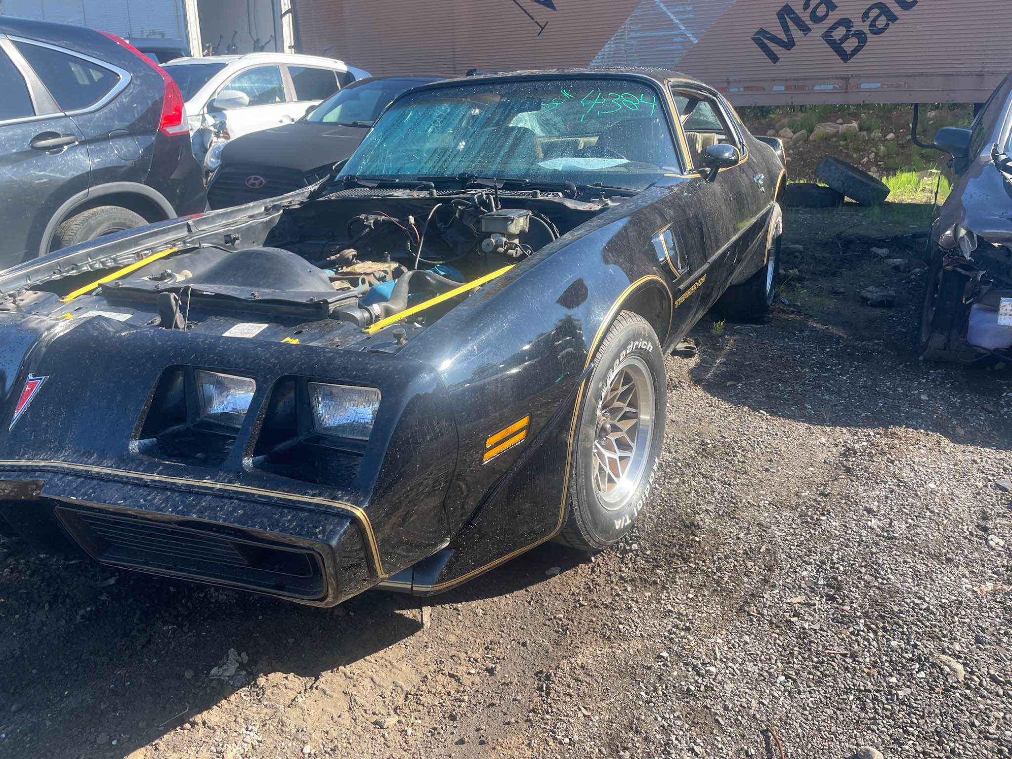 1981 GM Firebird