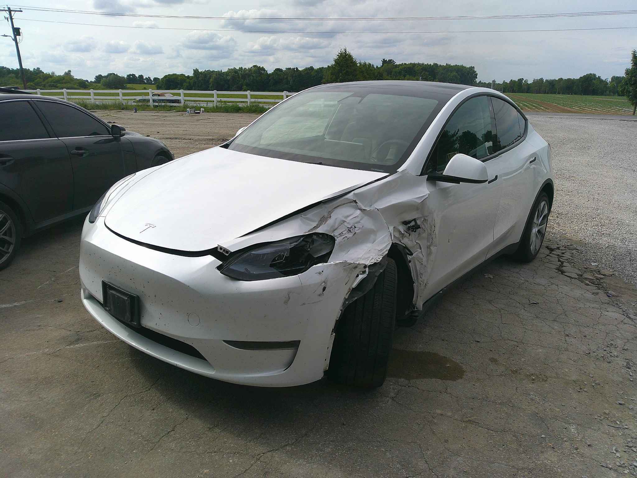 2023 Tesla Tesla Y