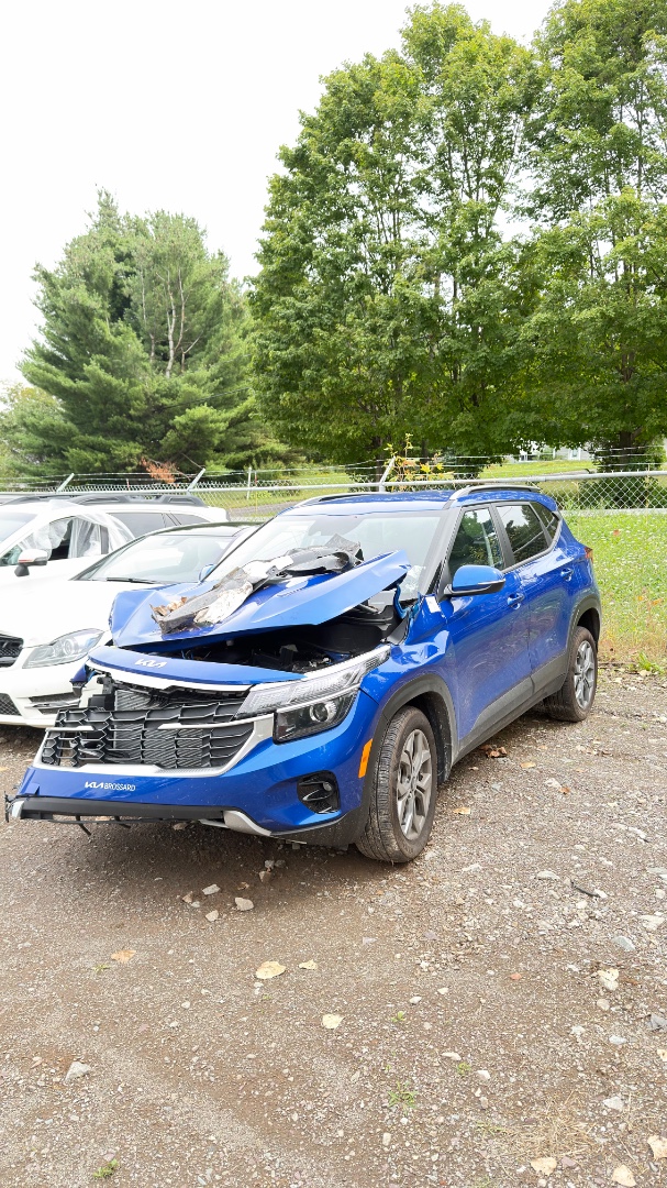 2026 Kia Seltos