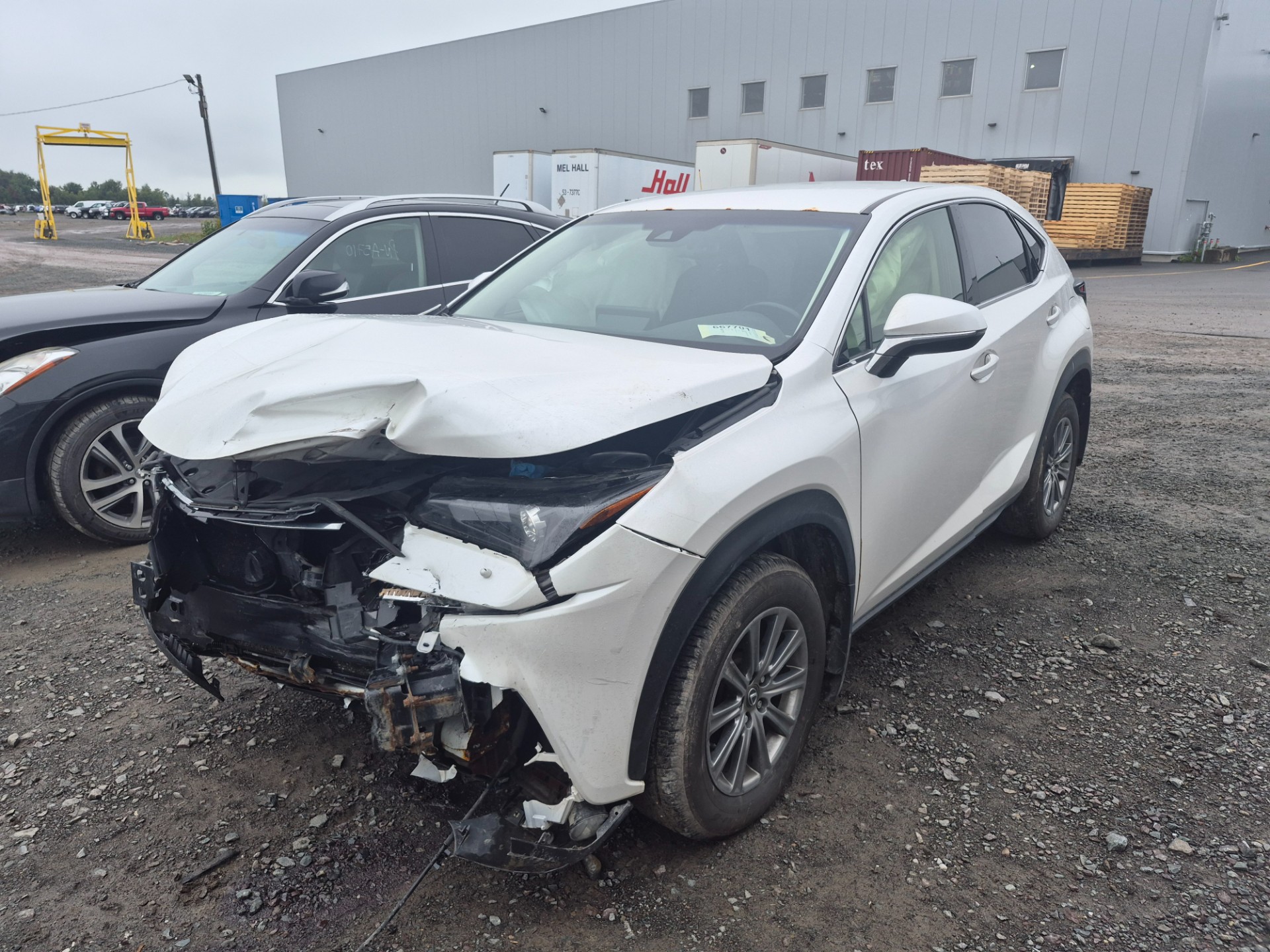 2019 Lexus Lexus Nx