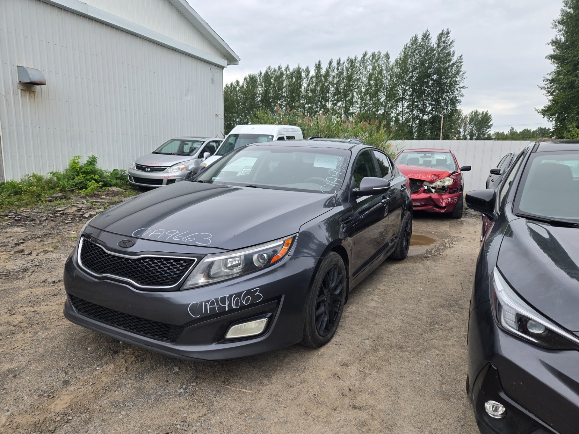 2014 Kia Optima (Kia)