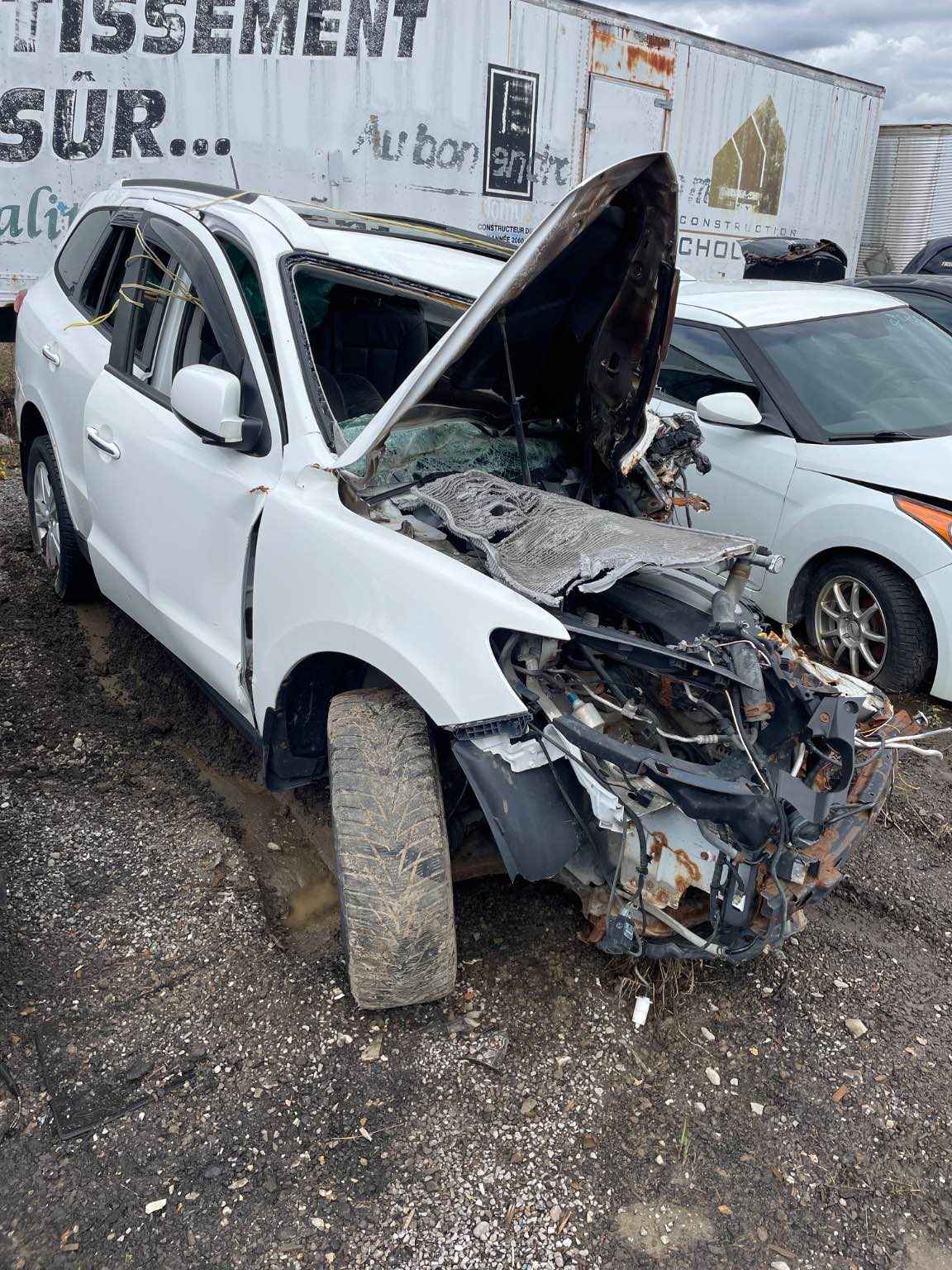 2010 Hyundai Santa Fe
