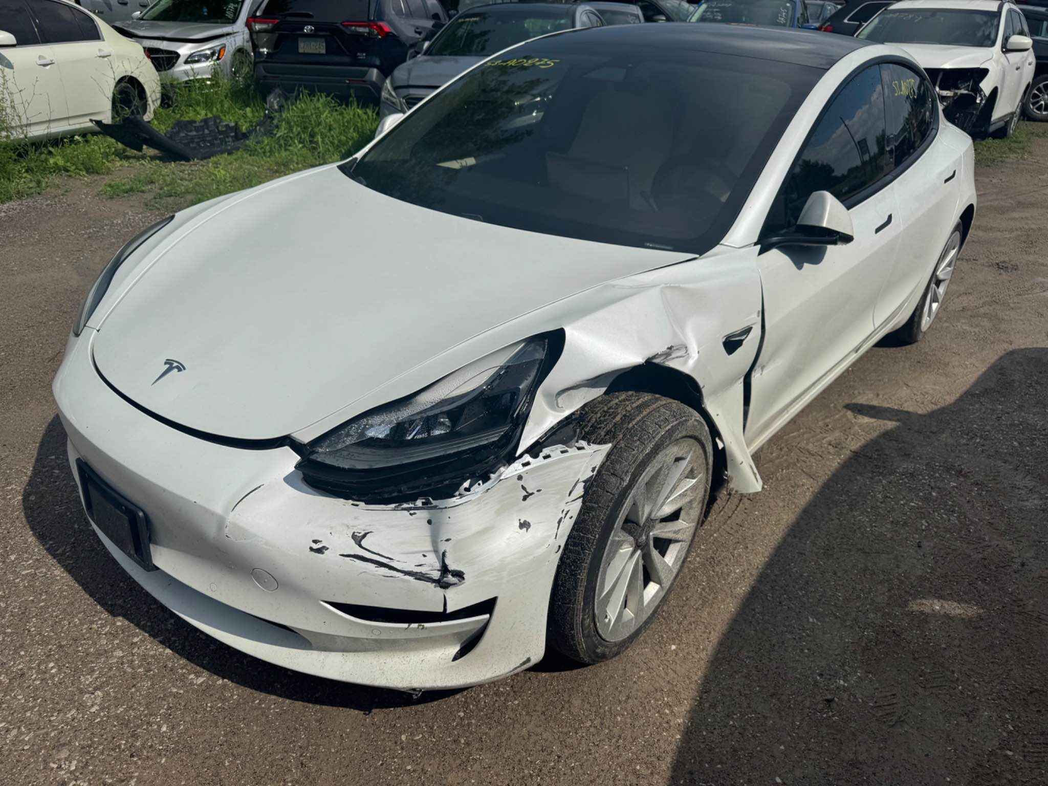 2021 Tesla Tesla 3