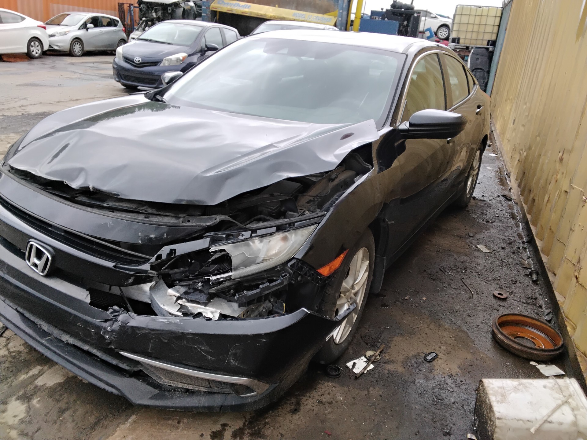 2019 Honda Civic