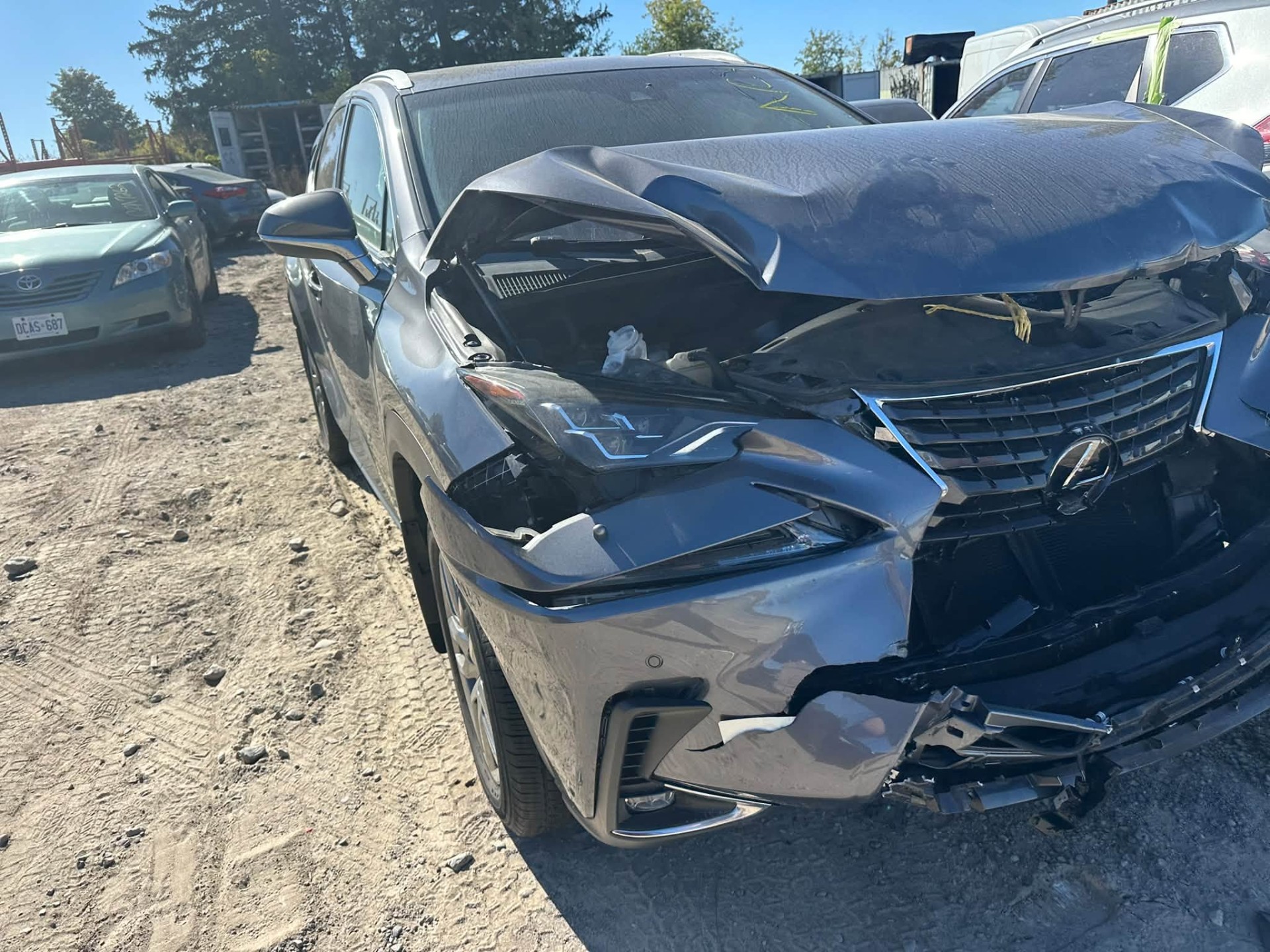 2019 Lexus Lexus Nx
