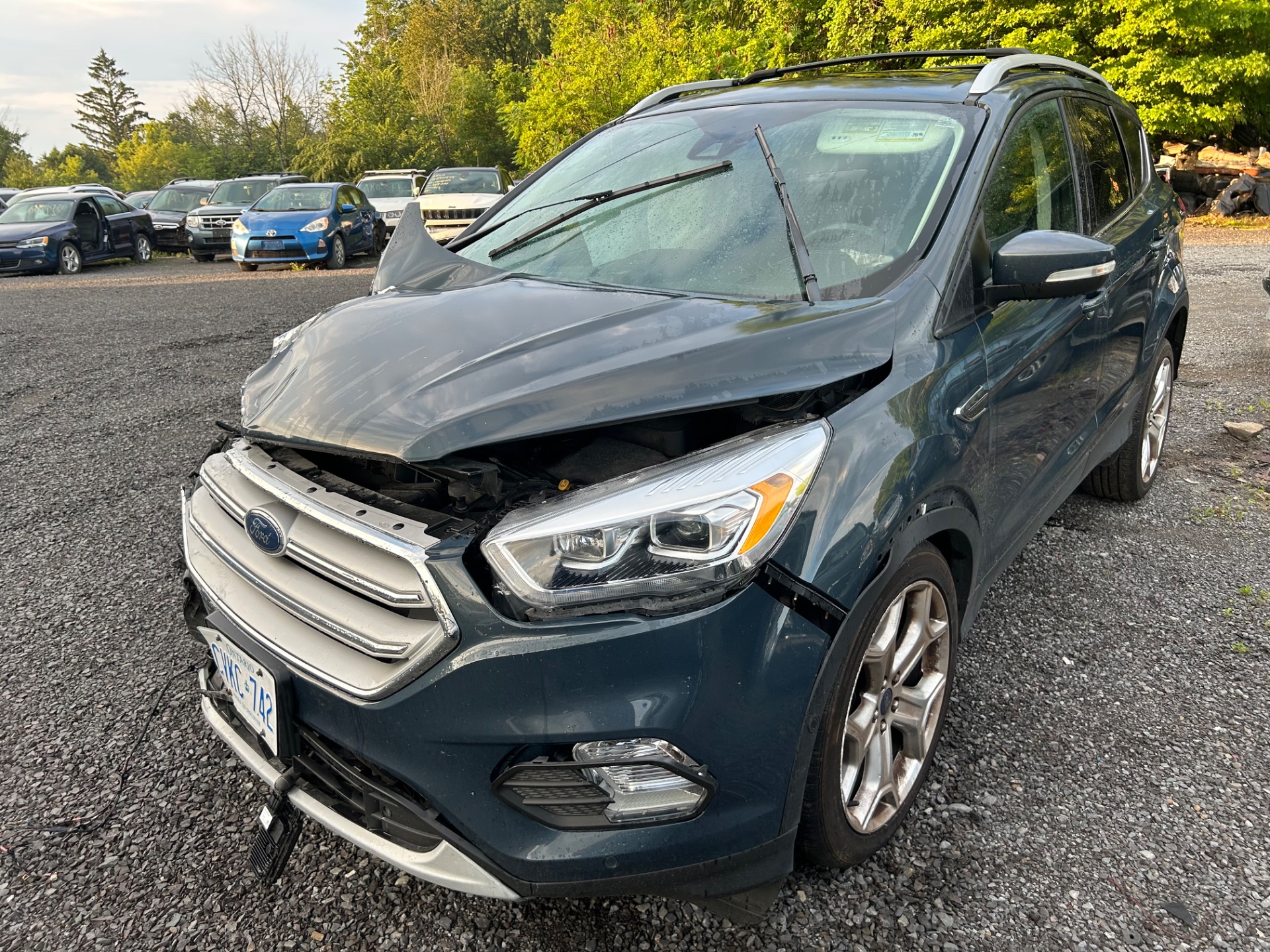 2019 Ford Escape