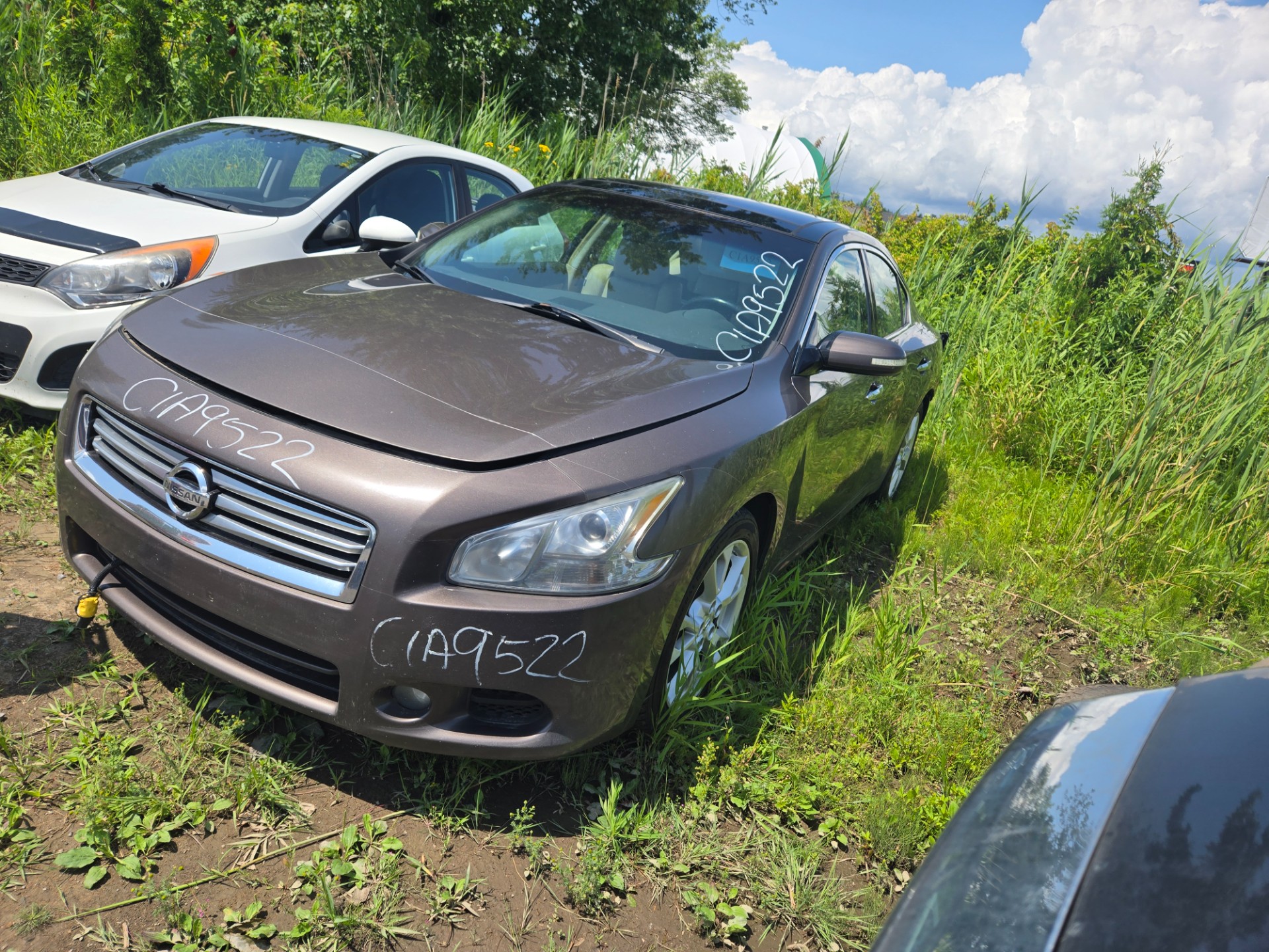 2012 Nissan Maxima