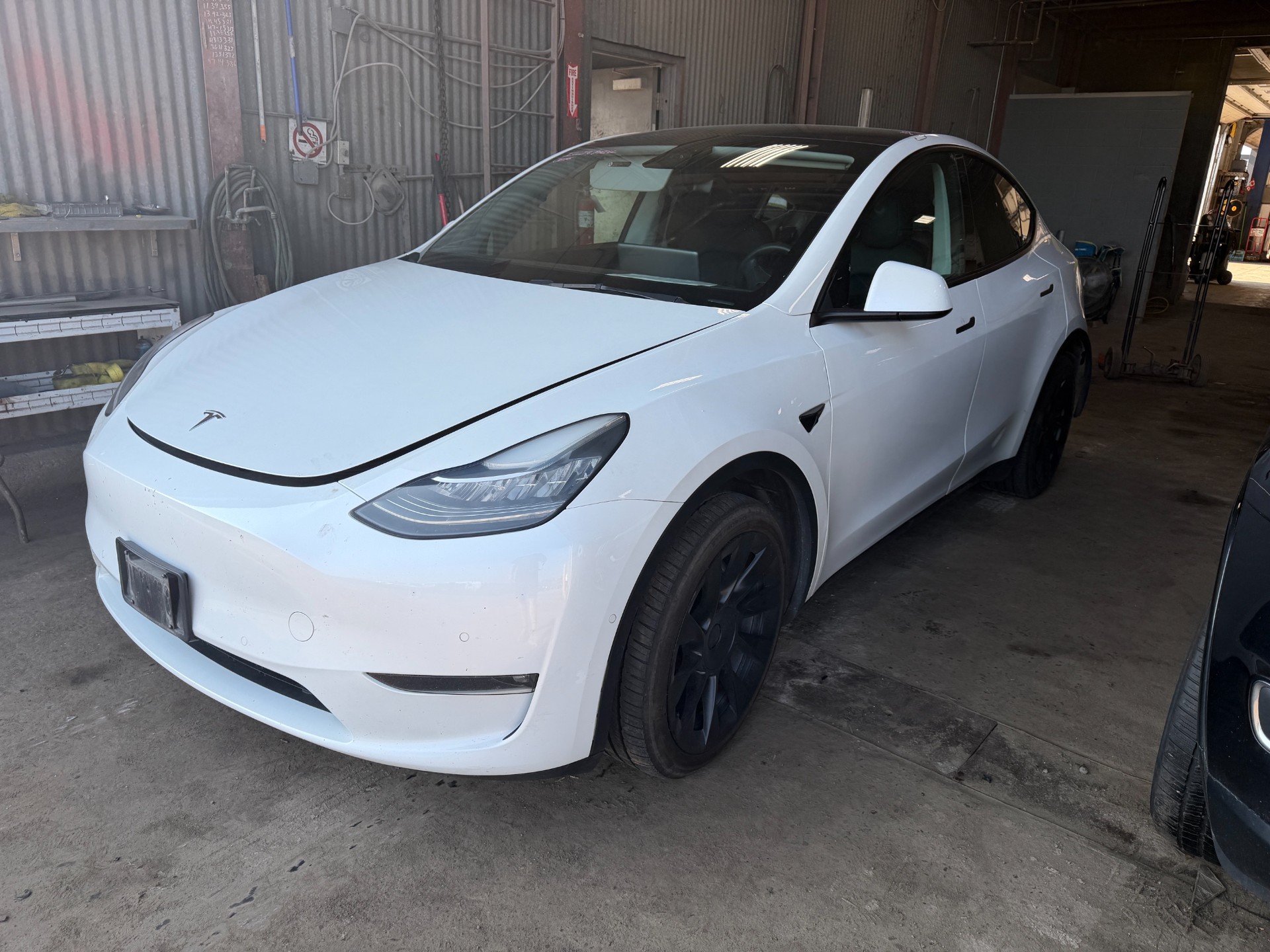 2021 Tesla Tesla Y