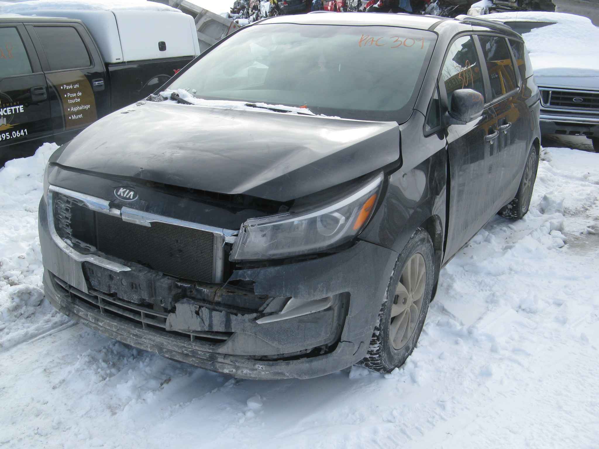 2019 Kia Sedona