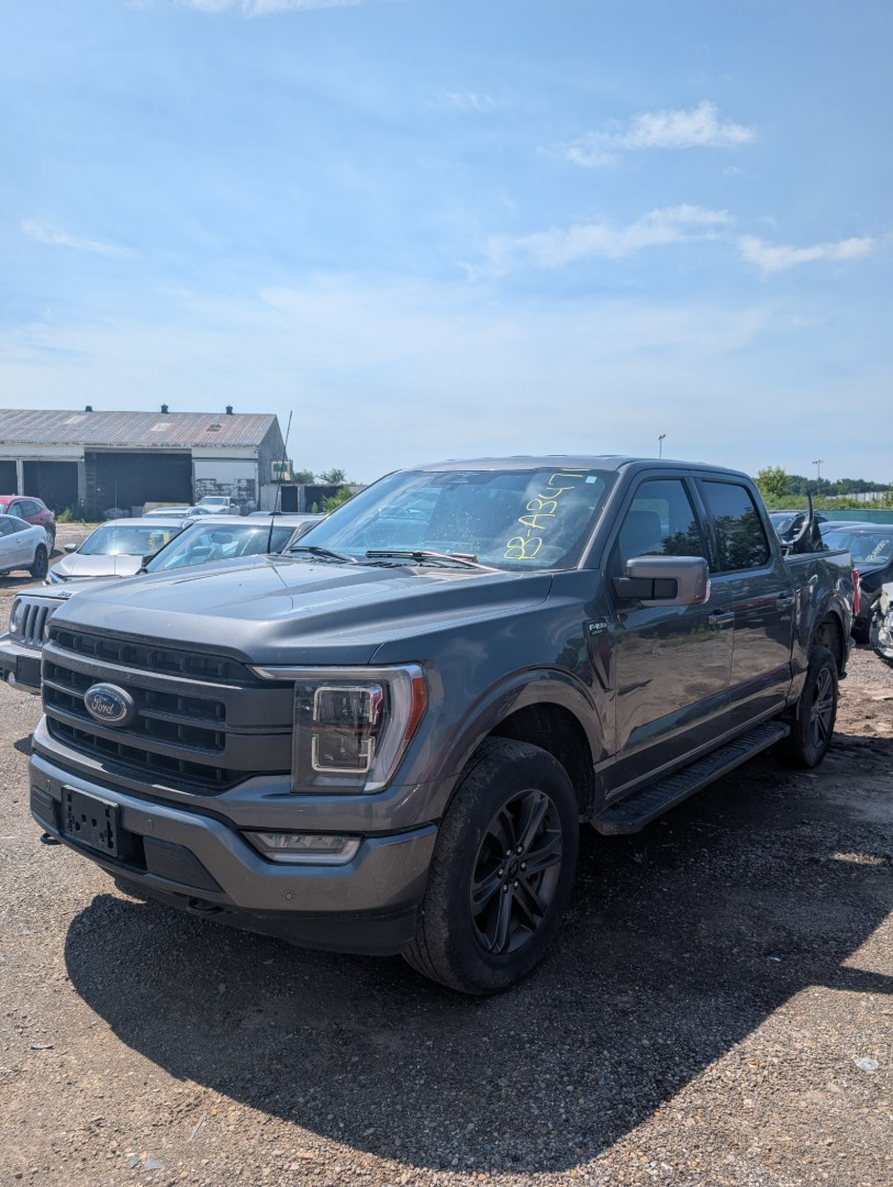 2023 Ford Pickup (Ford)