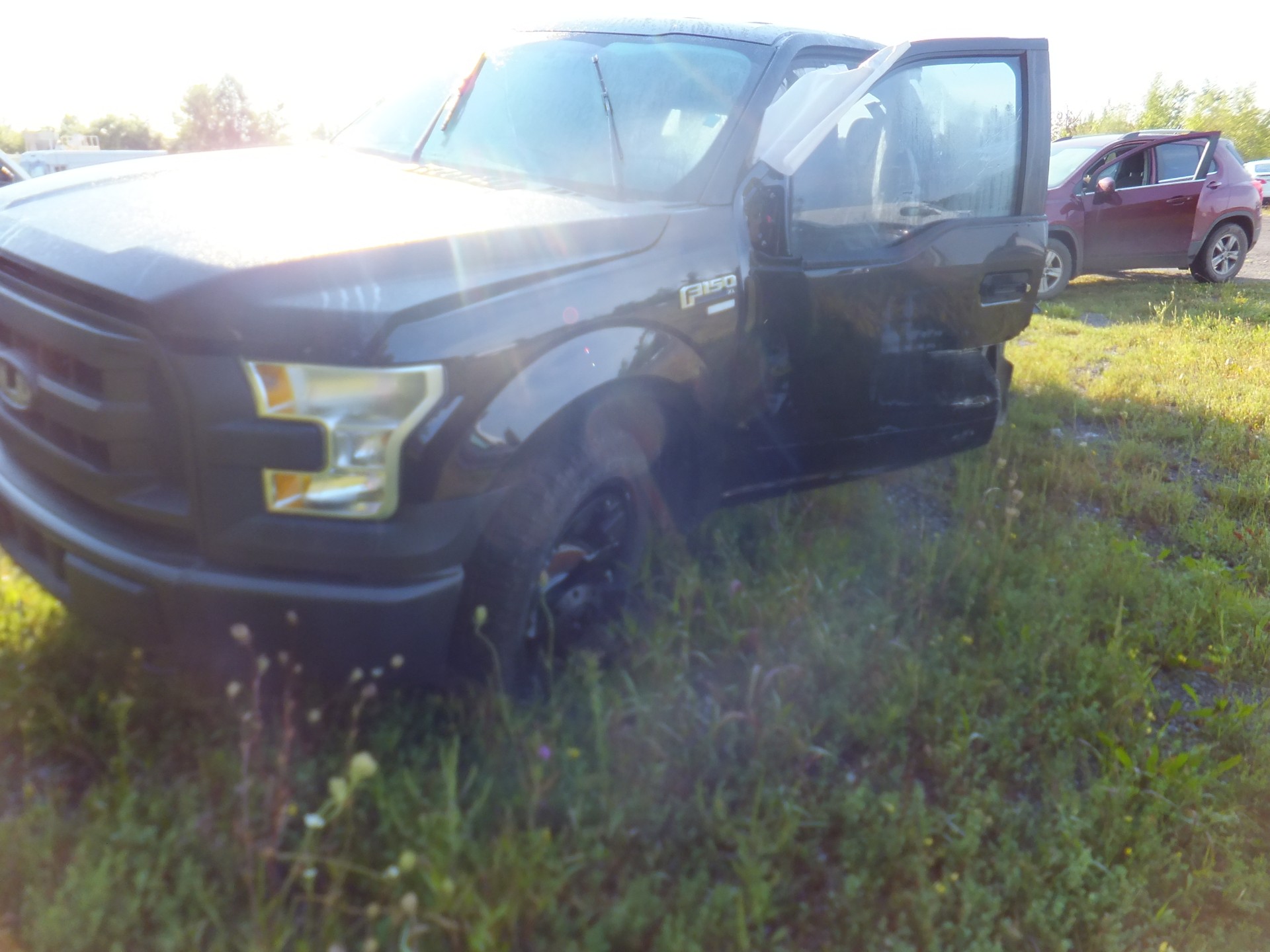 2016 Ford Pickup (Ford)