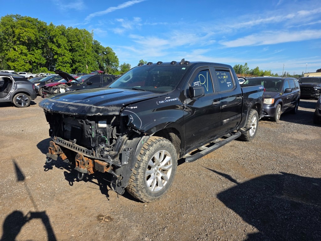 2019 GM Pickup (Chev.)