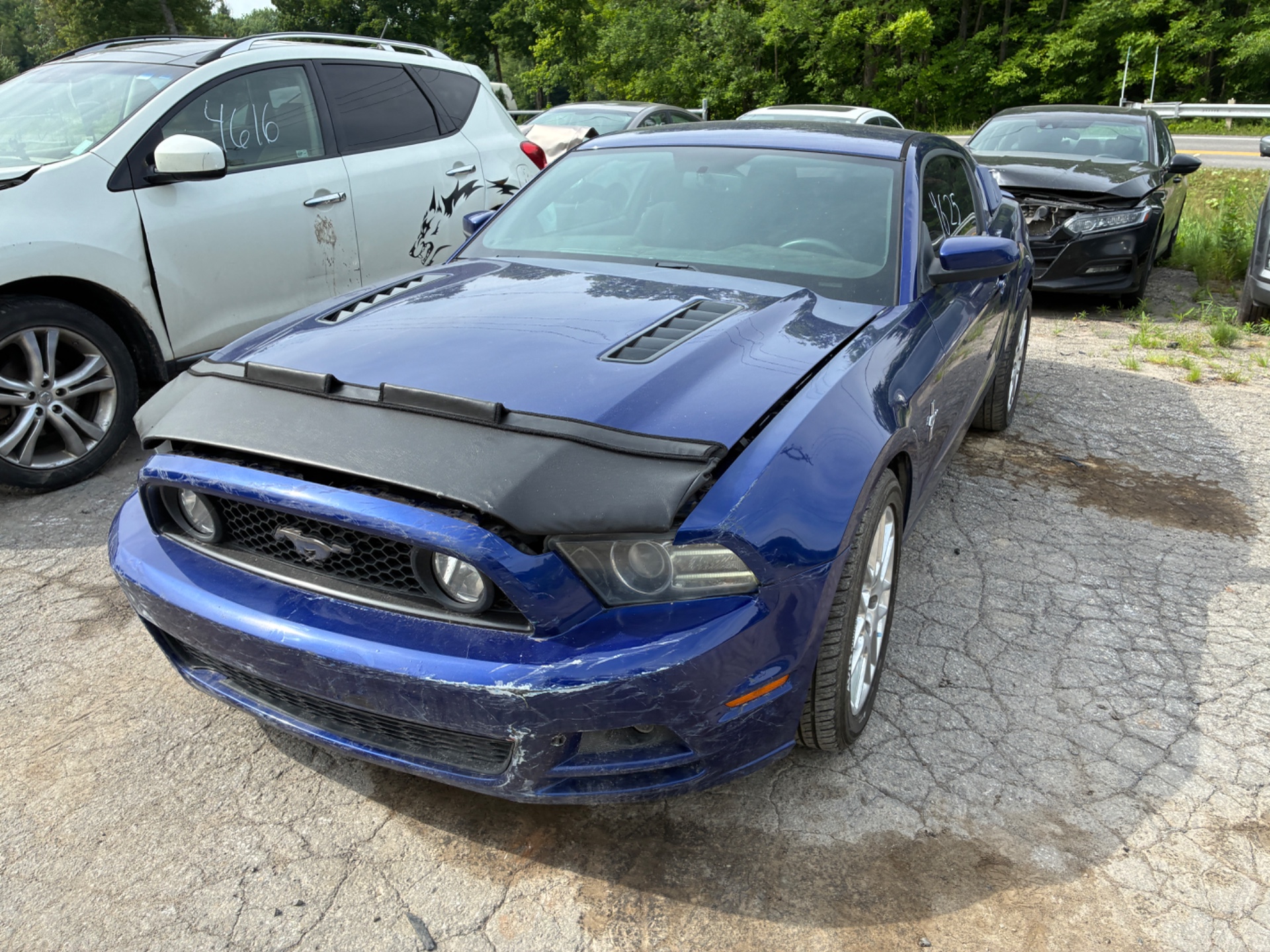 2013 Ford Mustang