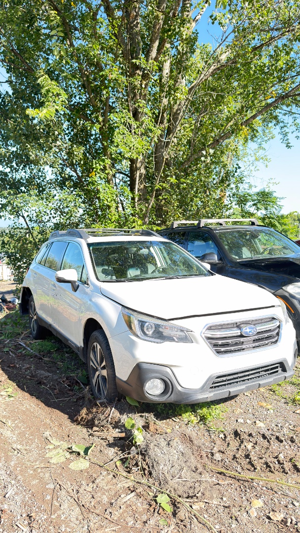 2019 Subaru Outback