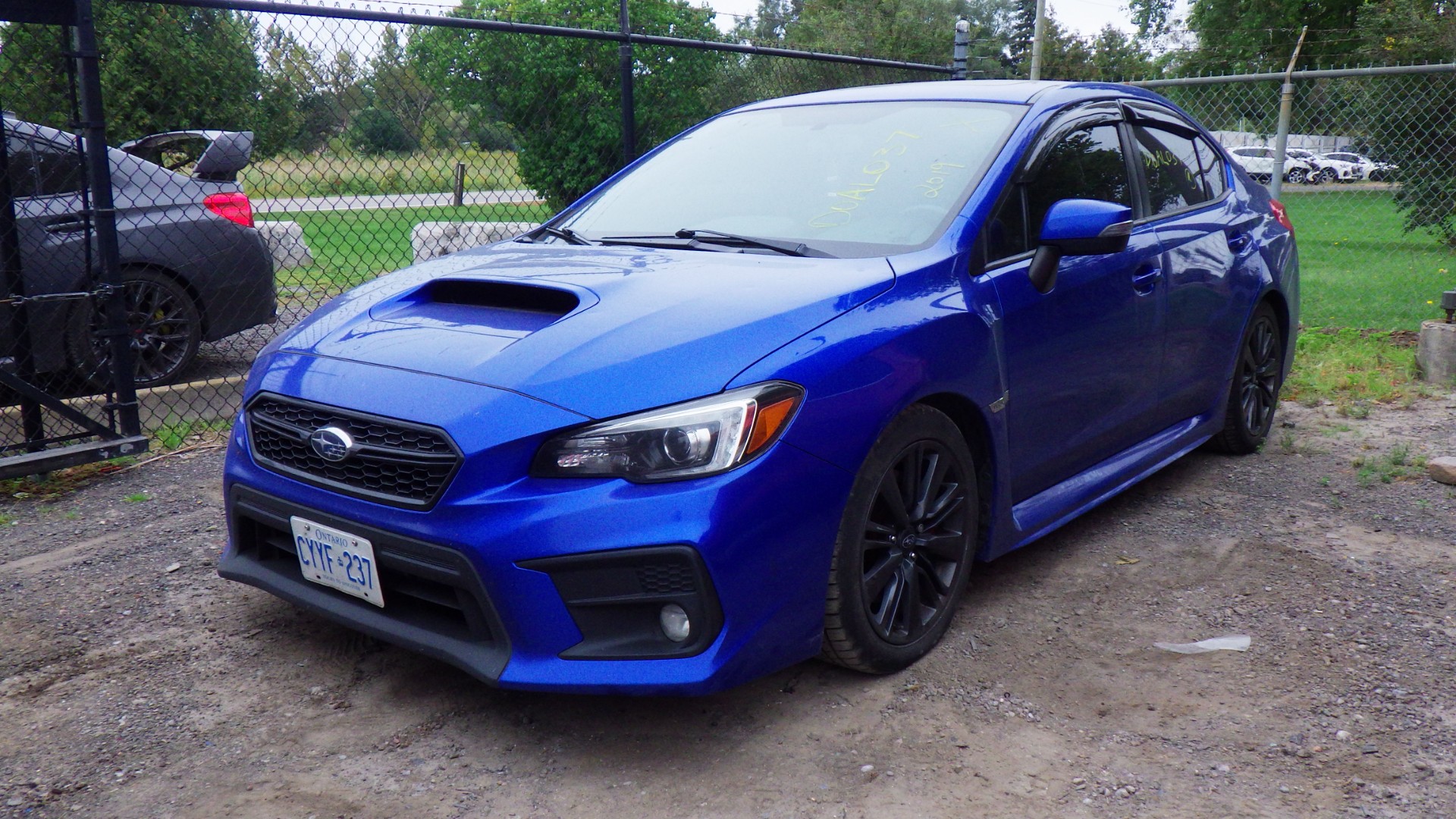 2019 Subaru Wrx