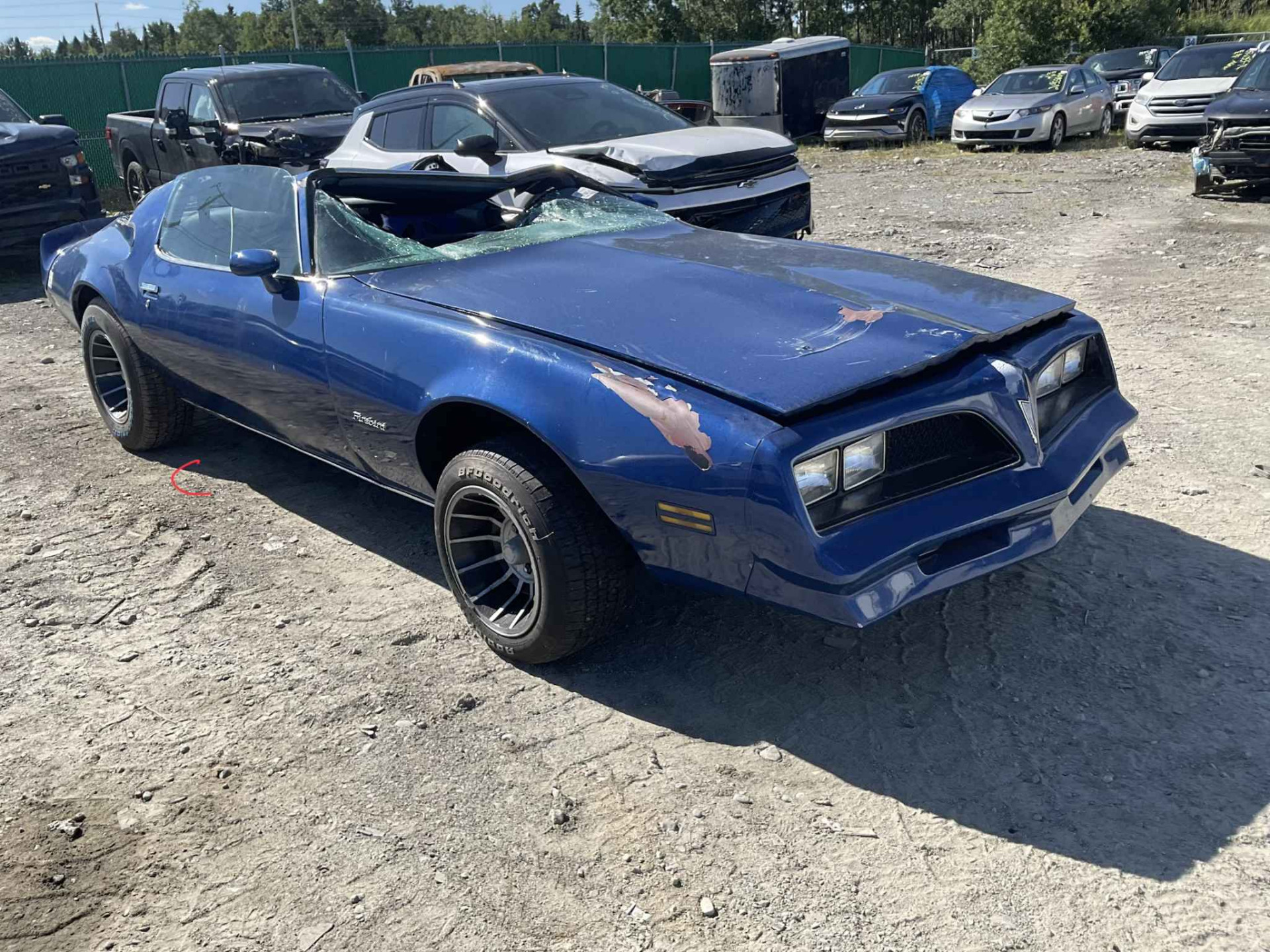 1981 GM Firebird