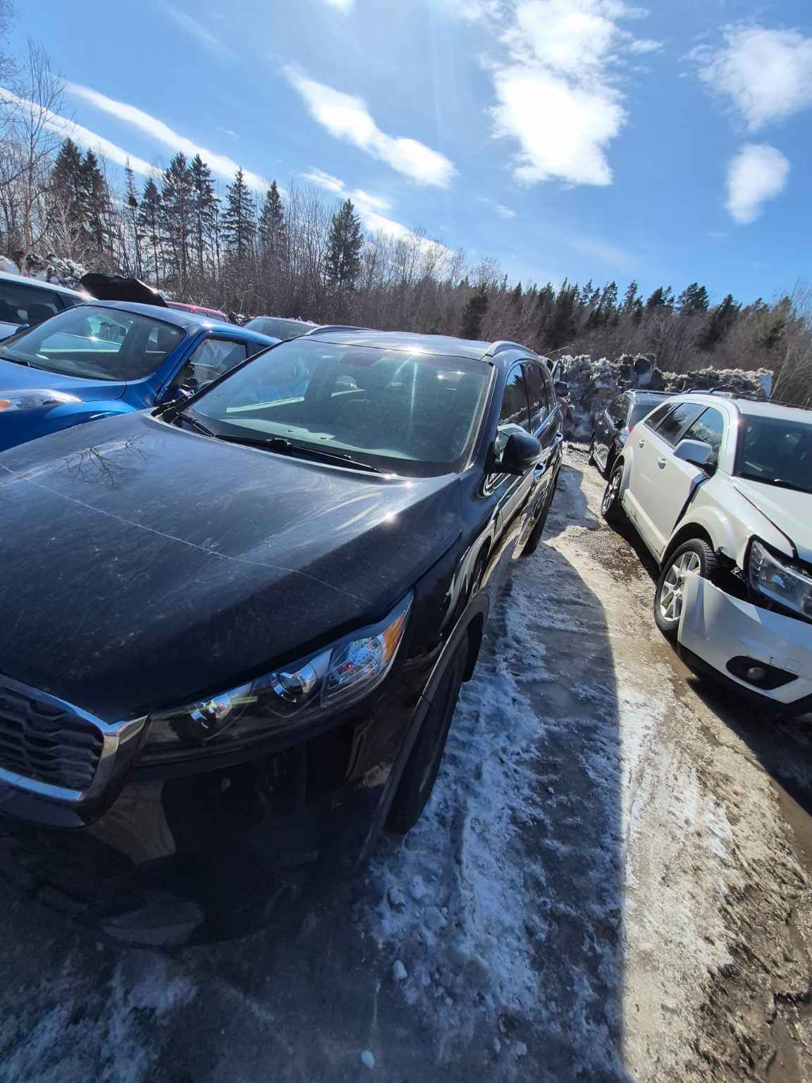 2020 Kia Sorento