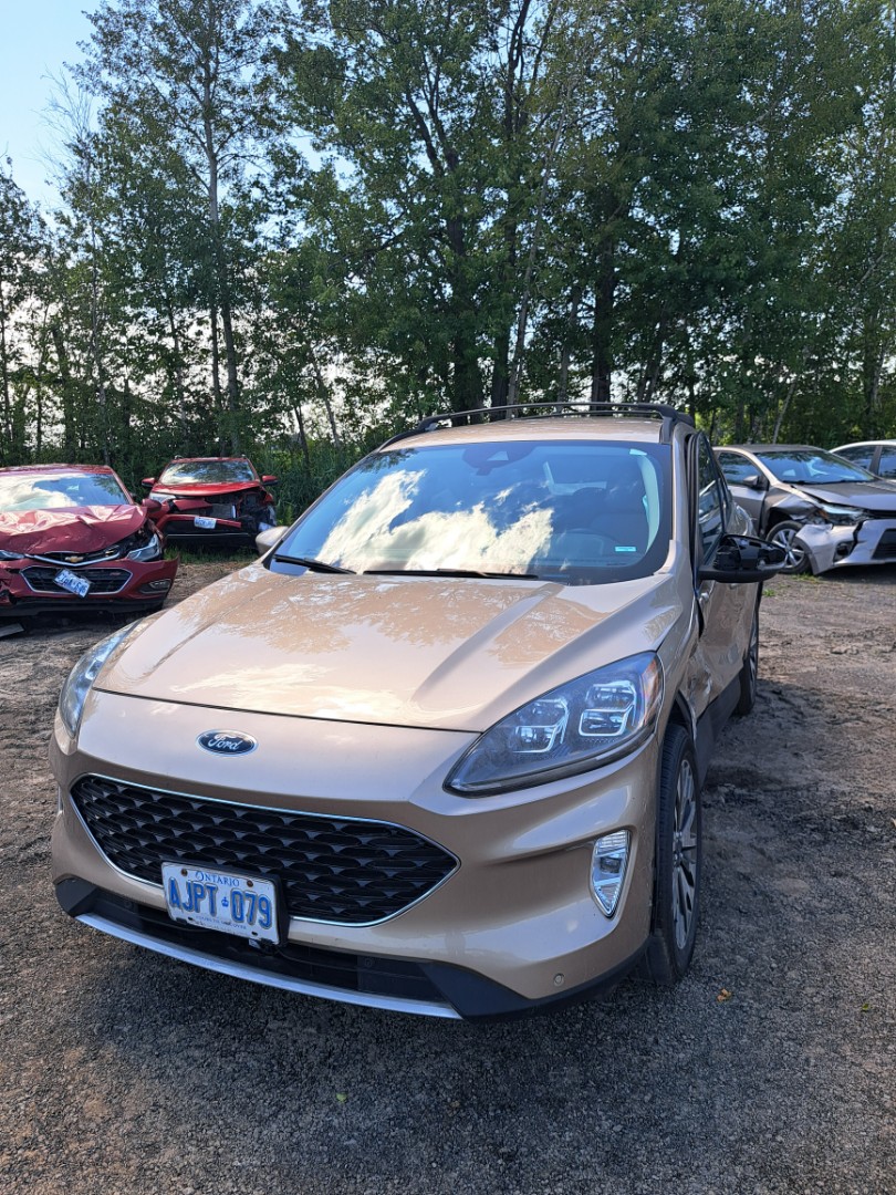 2020 Ford Escape