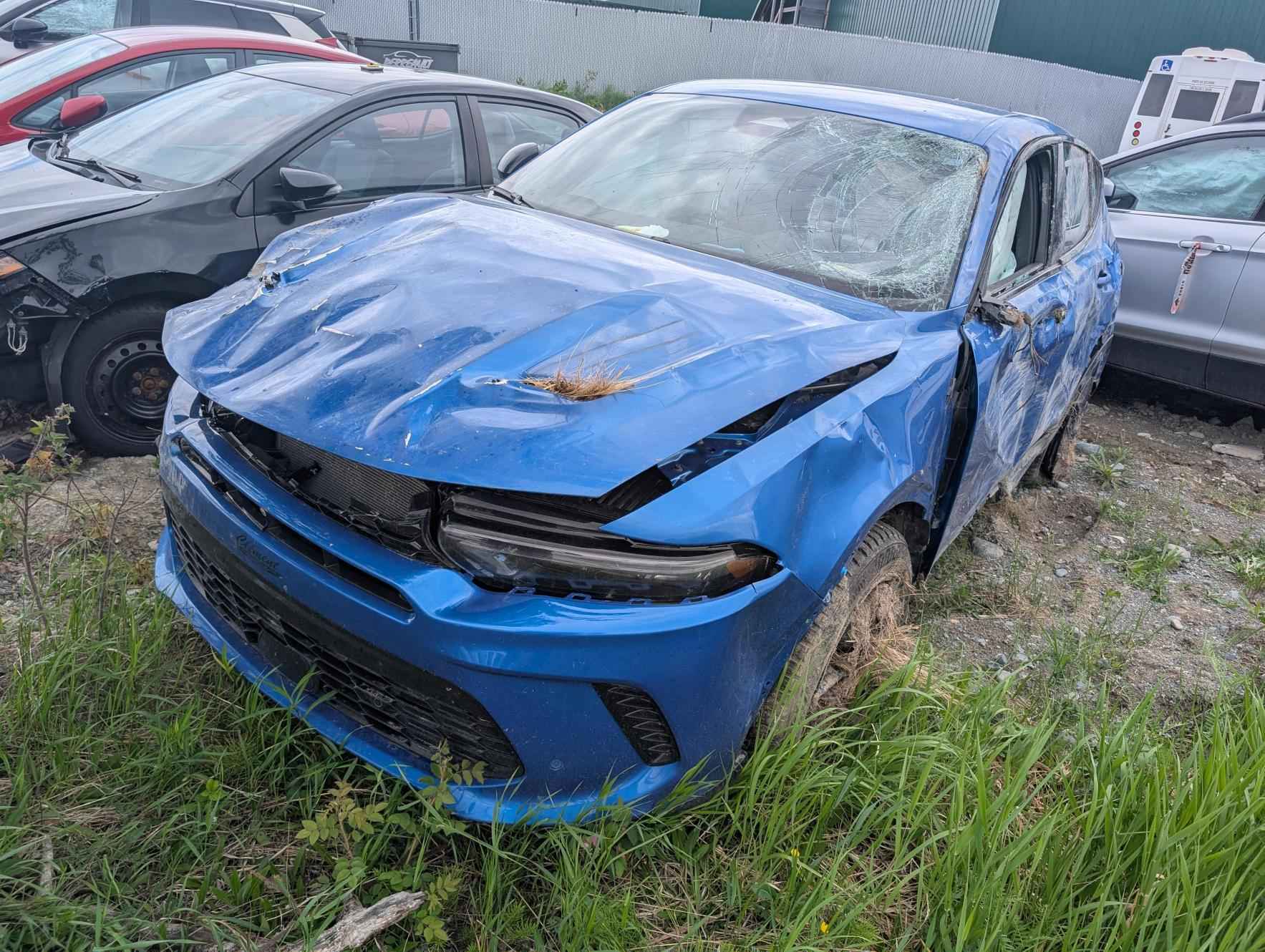 2024 Chrysler Hornet