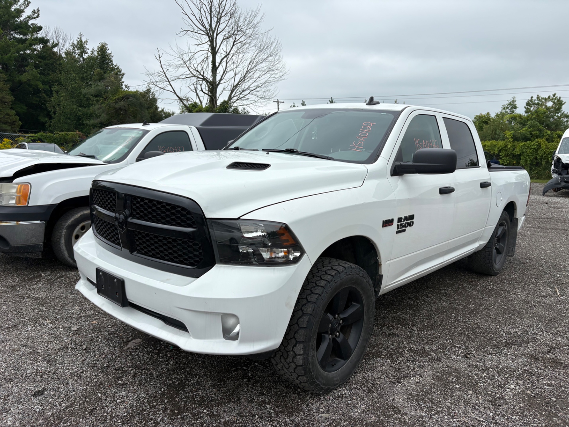 2019 Chrysler Pickup (Dodge)